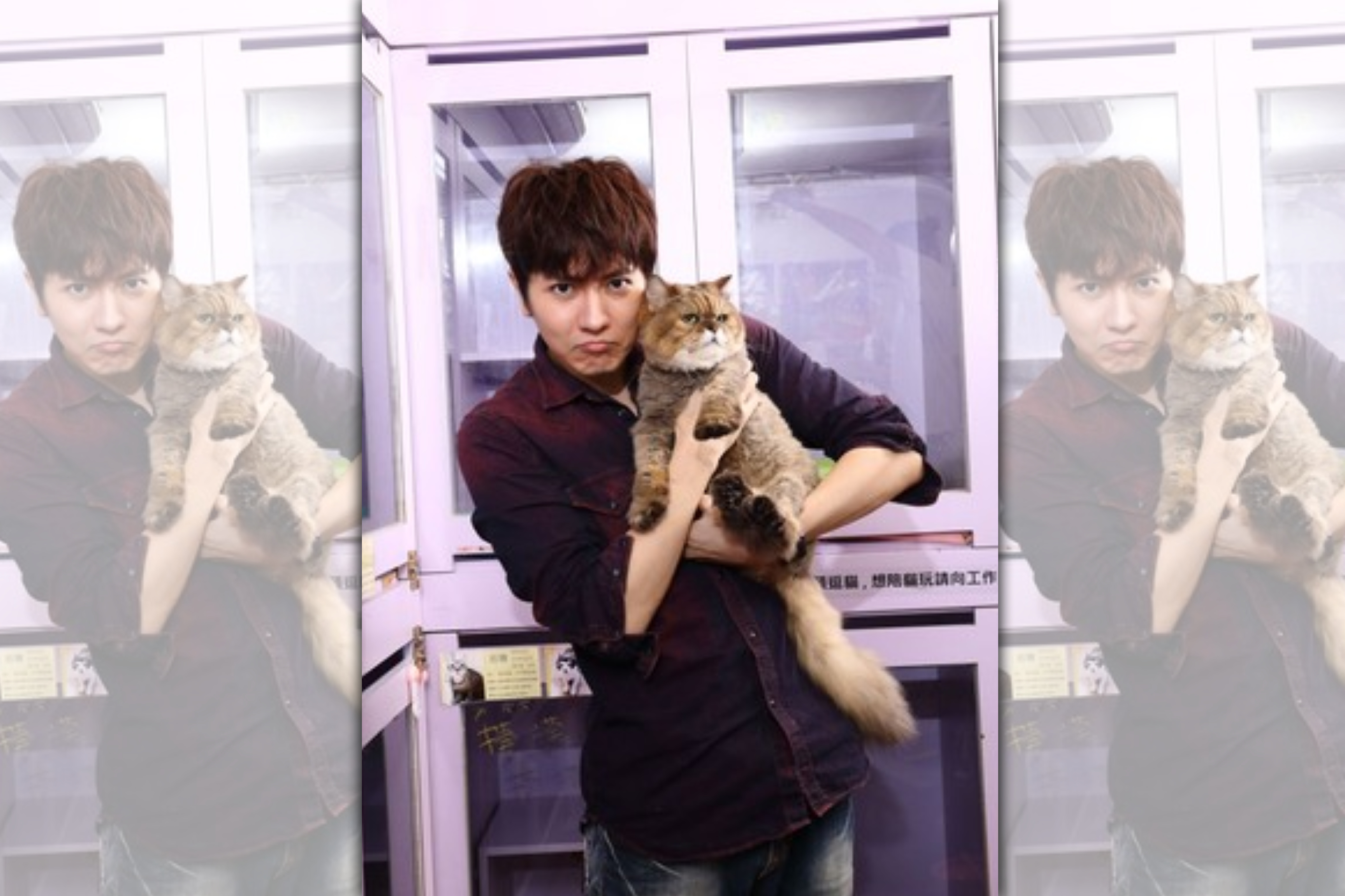 陳璽安擔任流浪貓協會愛心大使。（畢獅國際提供）