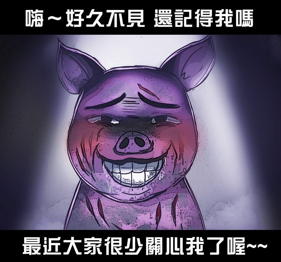 昨日在金門海邊再次發現確定染有非洲豬瘟的病死豬，成為本國海漂豬第 13 例。（翻攝海洋委員會粉專）