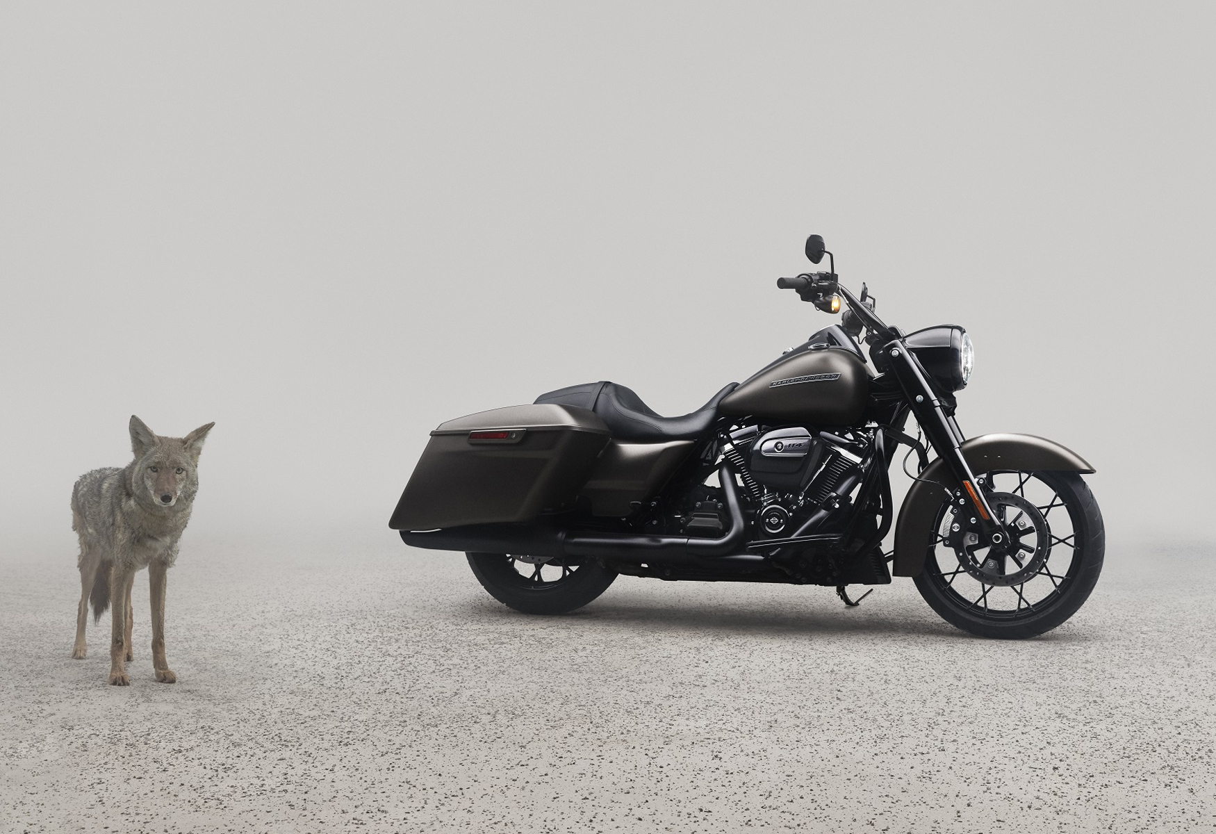 【新車登場】安全再升級！Harley-Davidson 2020年式TOURING及CVO系列標配全新Reflex™騎士防護系統