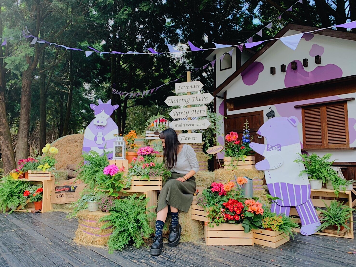 「2020薰衣草節」正於新竹尖石、台中新社店浪漫展開。（薰衣草森林提供）