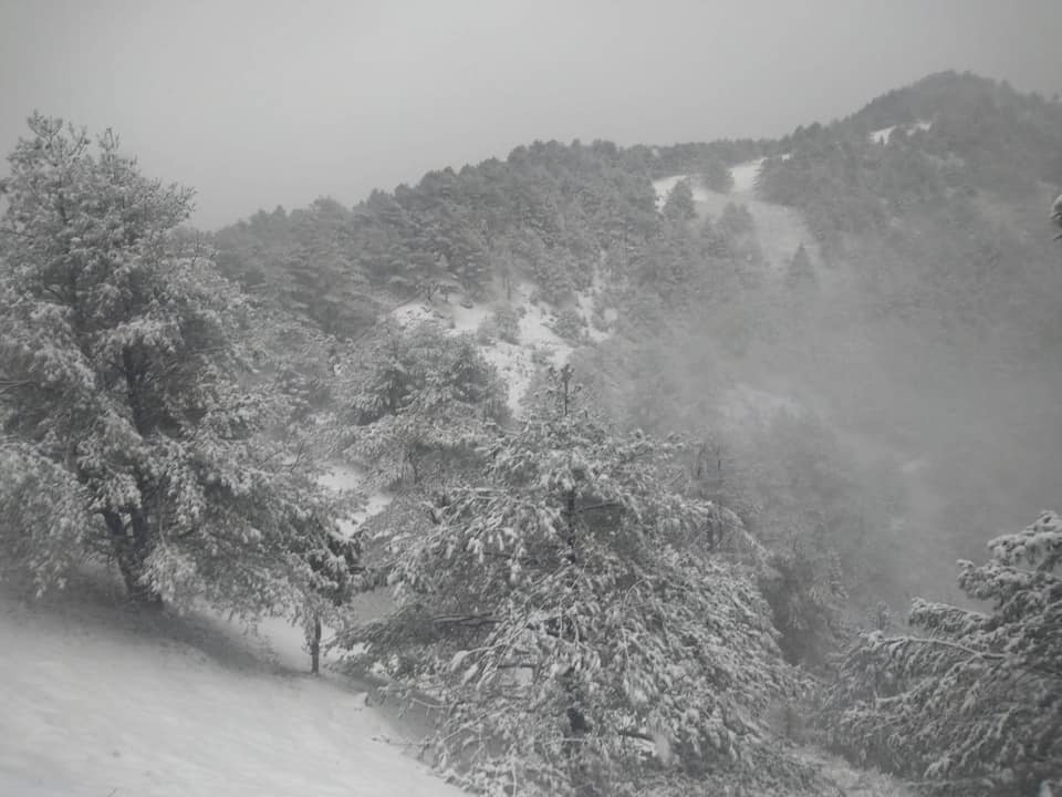 下週一（17日）清晨中部以北最低溫下探10度，部分地區可能出現10度以下低溫，屆時玉山、合歡山有望再降雪。（翻攝自玉山國家公園管理處臉書）