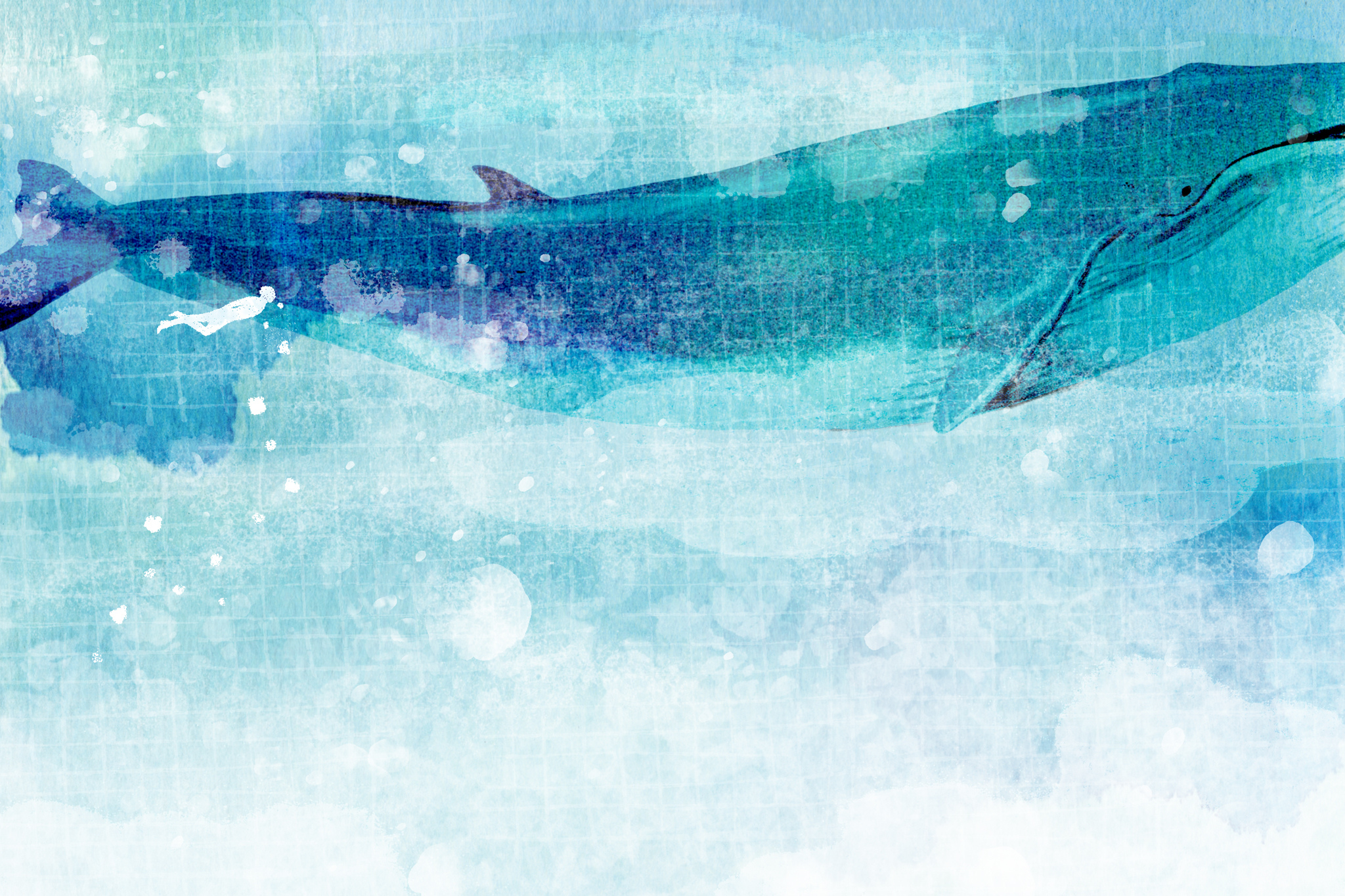 【詩】如何　蕭宇翔