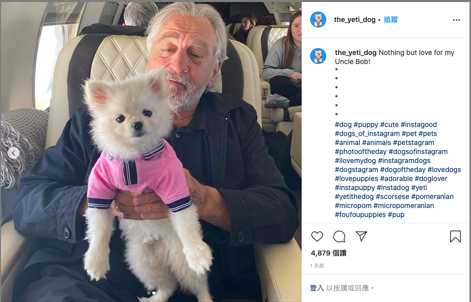 不是每一頭狗，都能被勞勃狄尼洛抱著搭私人飛機。（翻攝the yeti dog官方Instagram）