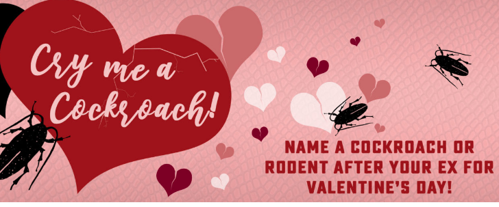 美國聖安東尼奧動物園讓民眾替蟑螂或老鼠取名為前任的名字，園方將會把這些蟑螂老鼠拿去餵食動物。（翻攝聖安東尼奧動物園網站）