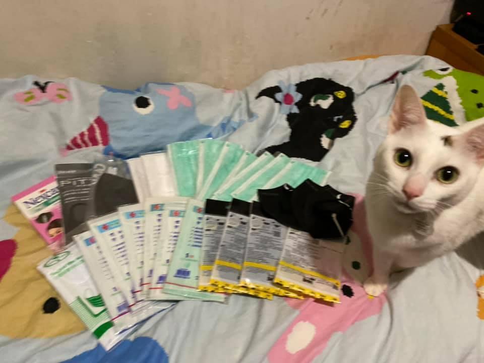 有網友在臉書分享,自家的貓咪竟然意外挖出「寶」,報答主人養育之恩。(翻攝小吉與砂糖臉書)
