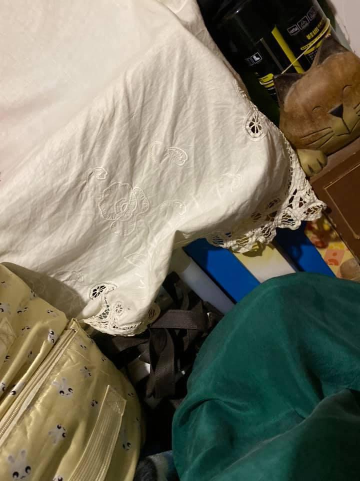 此處即為貓咪挖寶處,沒想到裡面竟藏有許多口罩。(翻攝小吉與砂糖臉書)