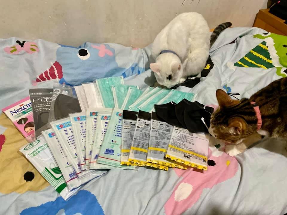 主人下一秒前往查看時,竟然發現貓咪挖出大量口罩。(翻攝小吉與砂糖臉書)