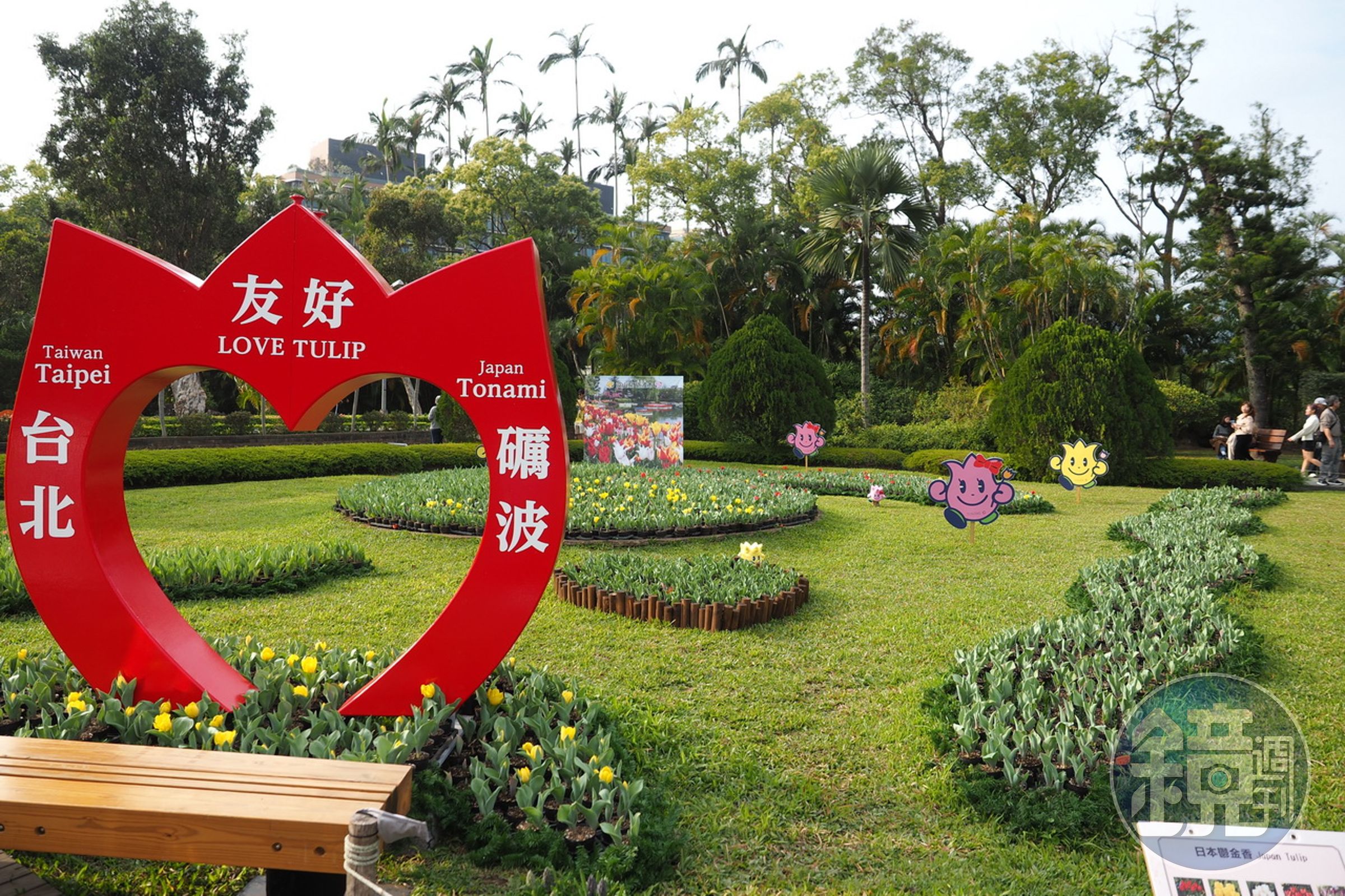 日本礪波的展區，花尚未完全開。