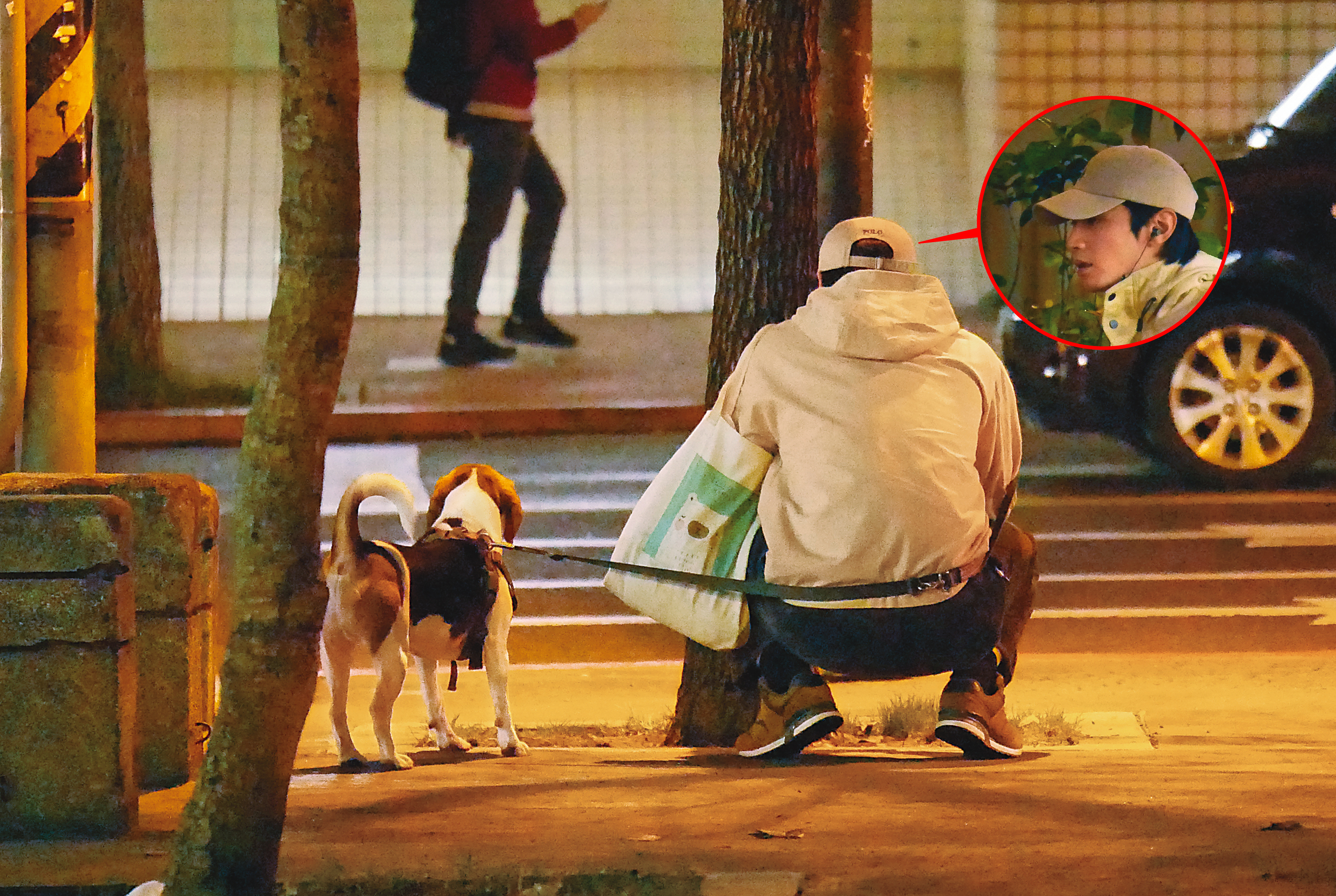 2/7 18：14，宋柏緯幫遛王淨的米格魯，蹲下撿狗大便。