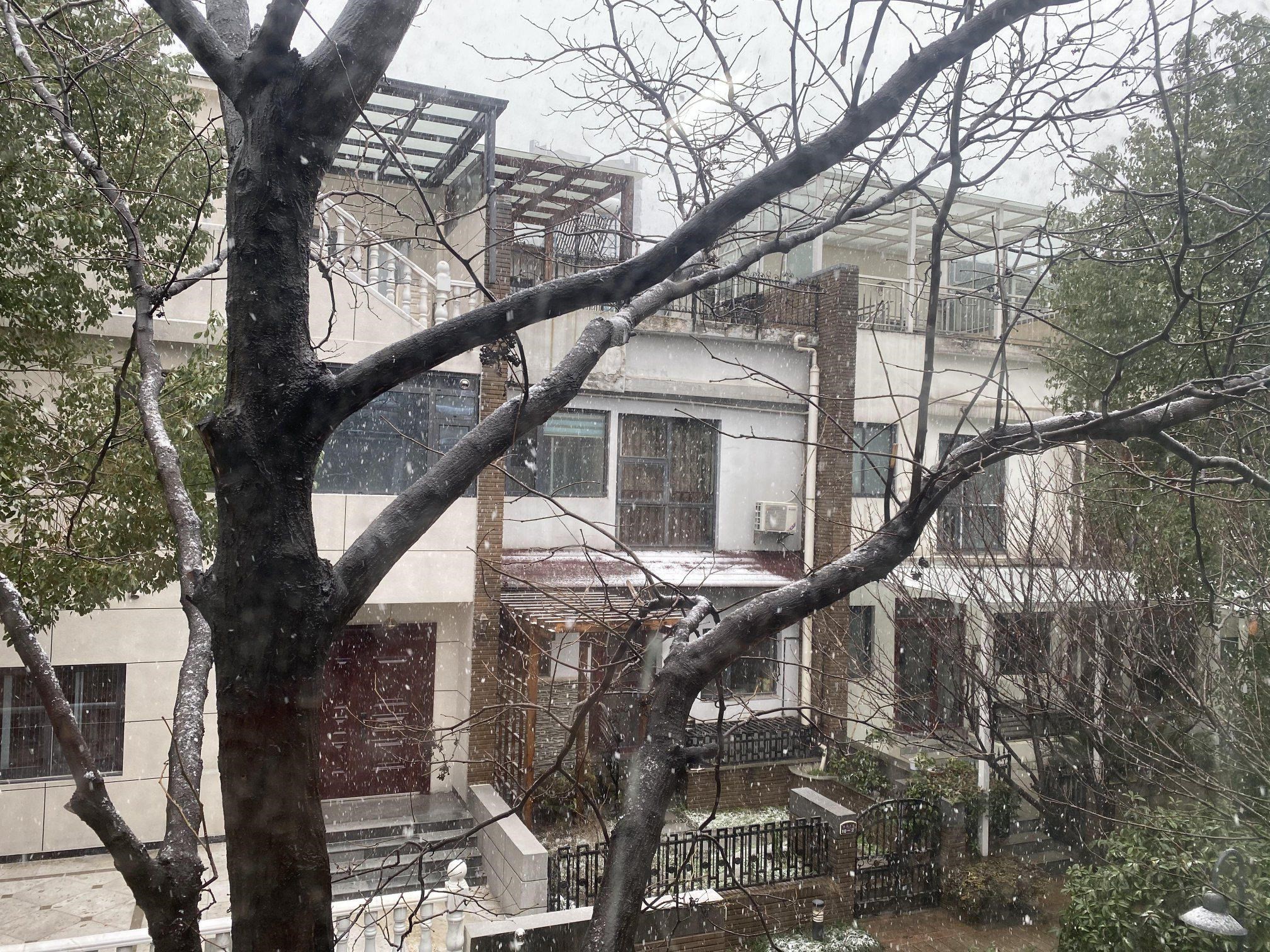 人在疫城的艾曉明拍下窗外的雪。（艾曉明提供）