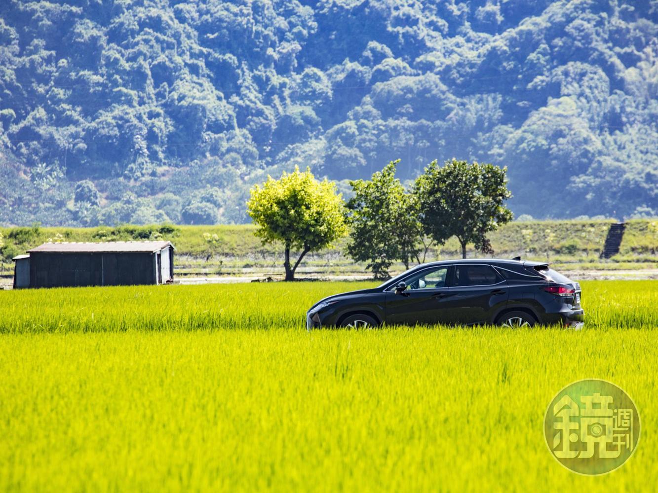 示範車款:LEXUS RX