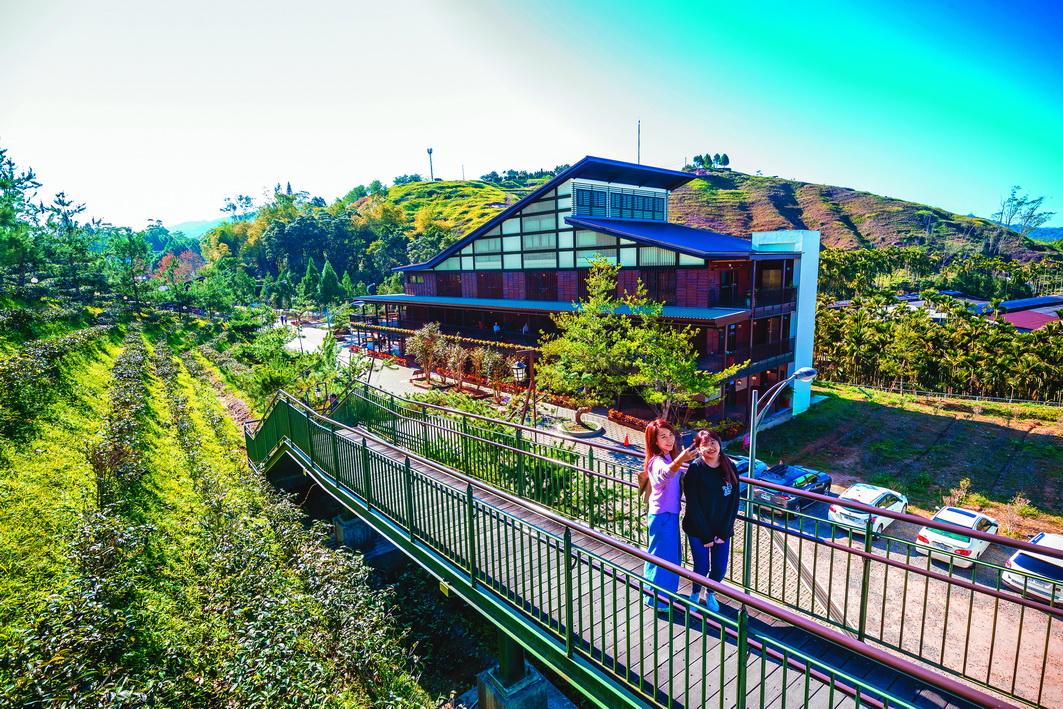 擁有獨特造型的建物、位在茶園中的「Hohocha喝喝茶」，已成南投網紅景點。