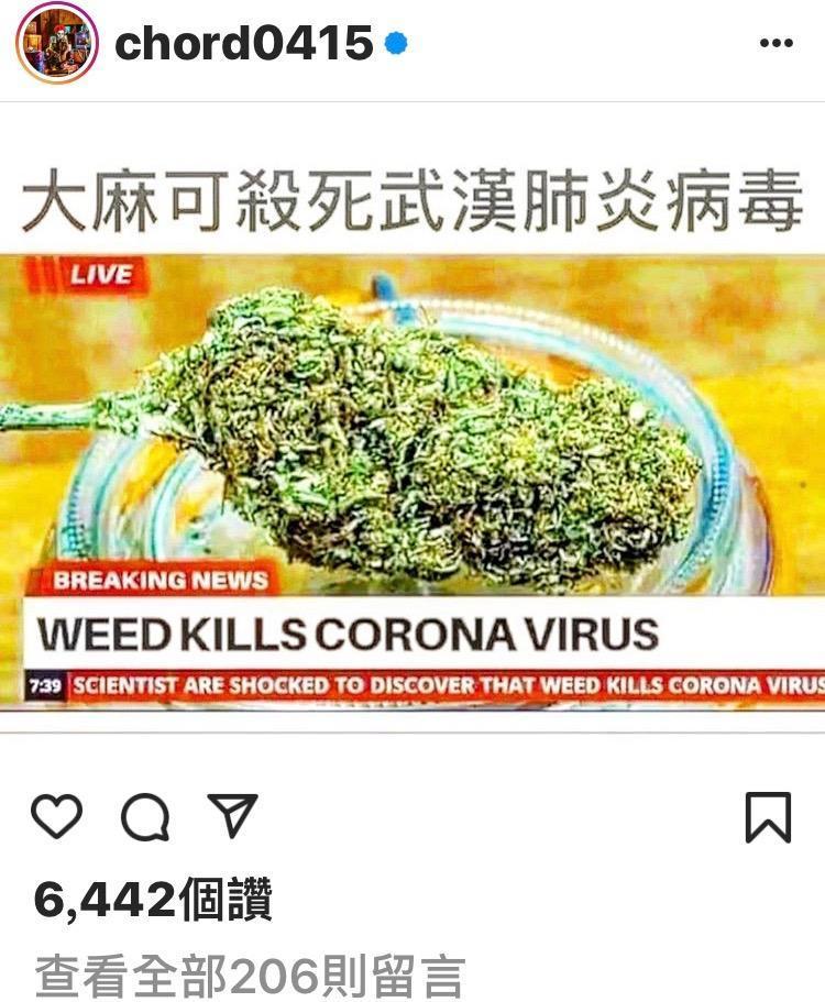 謝和弦6日在IG中，上傳大麻可殺死新型冠狀肺炎等錯誤訊息。（翻攝謝和弦IG）