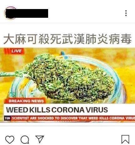 藝人謝和弦在個人IG散布不實防疫資訊。(翻攝謝和弦IG)