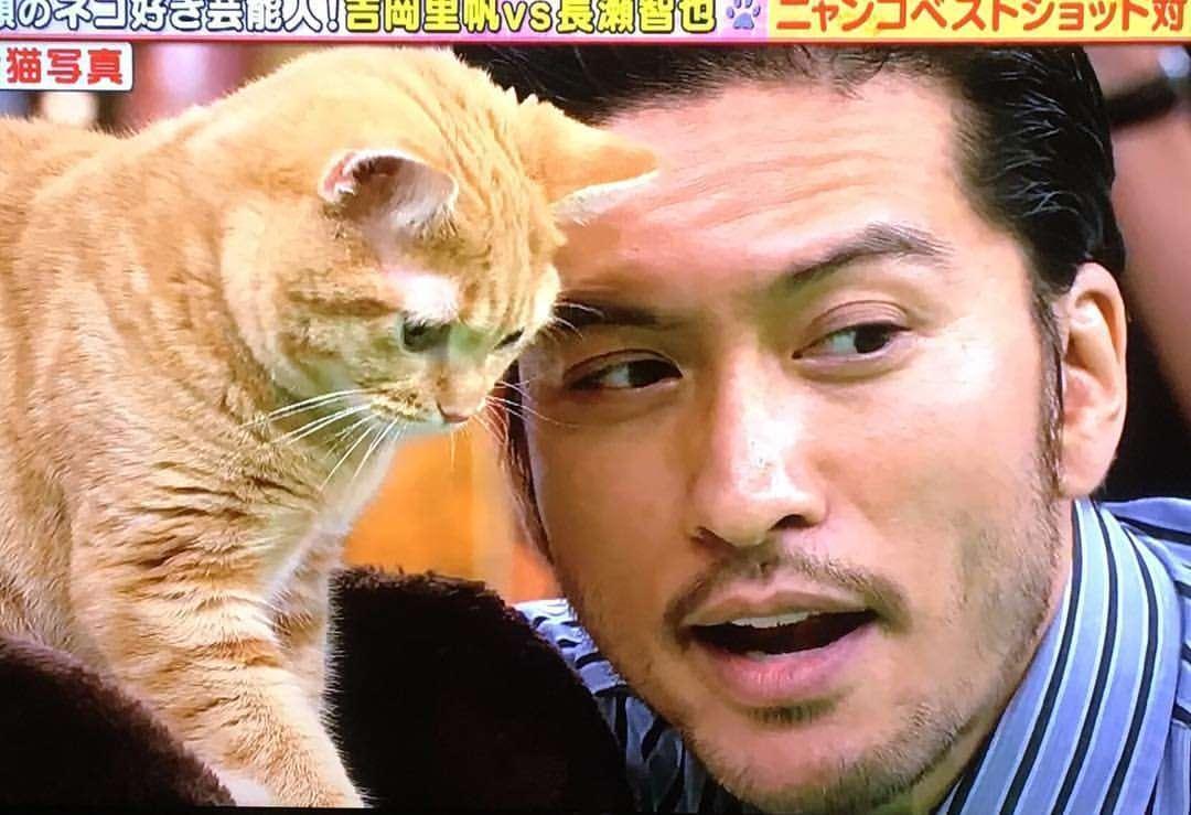 日媒《週刊文春》今(26)日爆料,「東京小子」(TOKIO)主唱長瀨智也有意於明年退社。(翻攝推特)