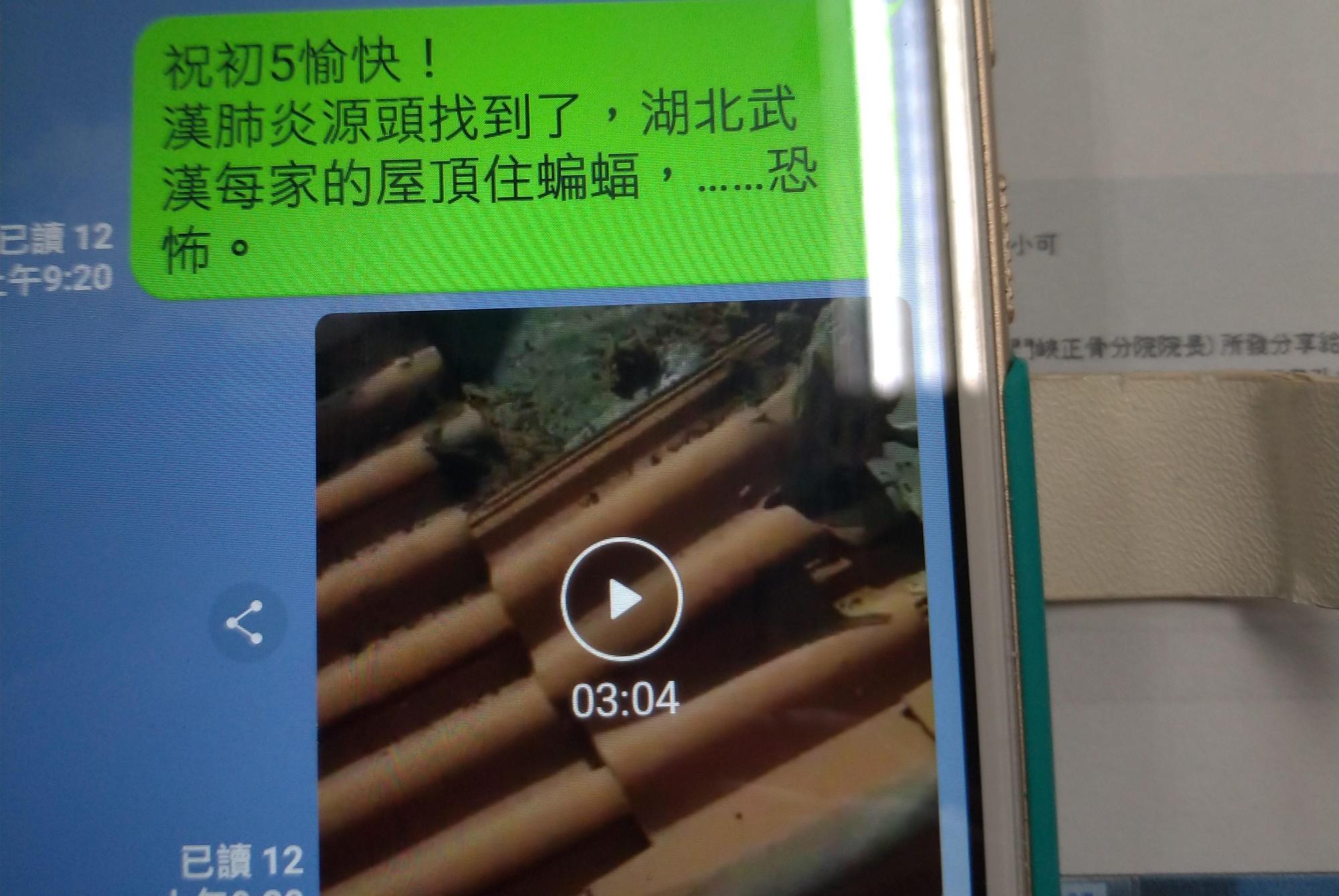 南投縣一名6旬婦人，在網路上散布疫情不實影片。（翻攝畫面）