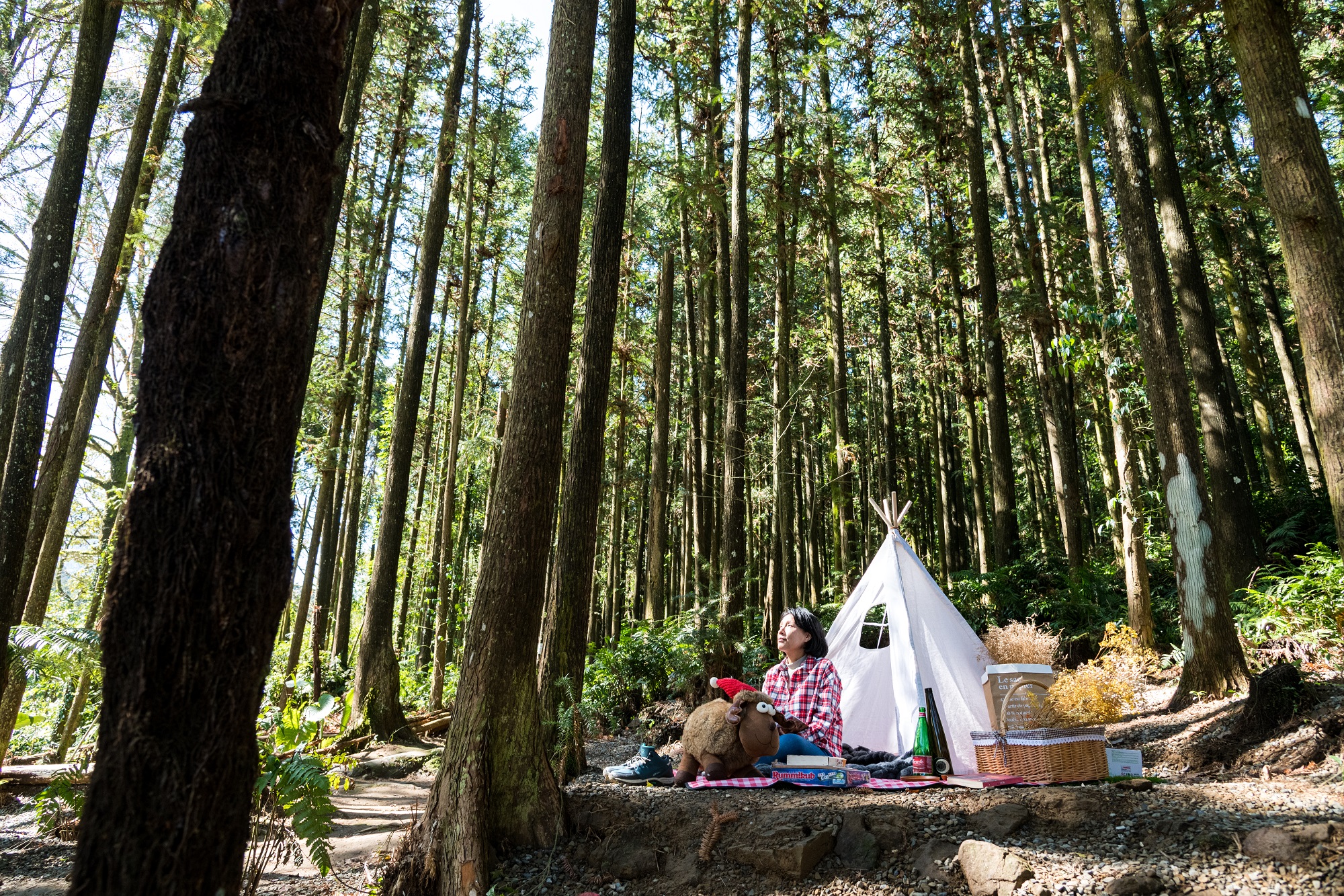 「森窯have a Picnic」後方是一片美麗樹林，適合在此野餐、放空一整個下午。