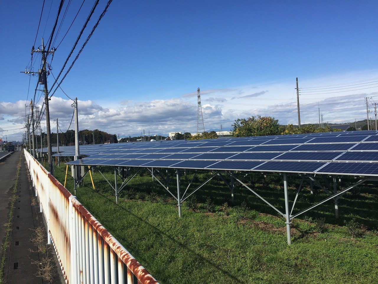 日本在福島核災後，深知地震國不能仰賴核電，於是在廢耕地的太陽能電板下栽種農作物，結果非常成功。（日本營農型發電協會）