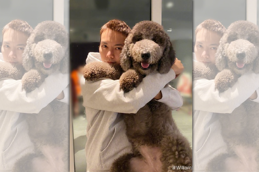 一人一狗的追逐陳偉霆追著就氣喘，可想而知客廳多寬敞。（翻攝自陳偉霆微博）