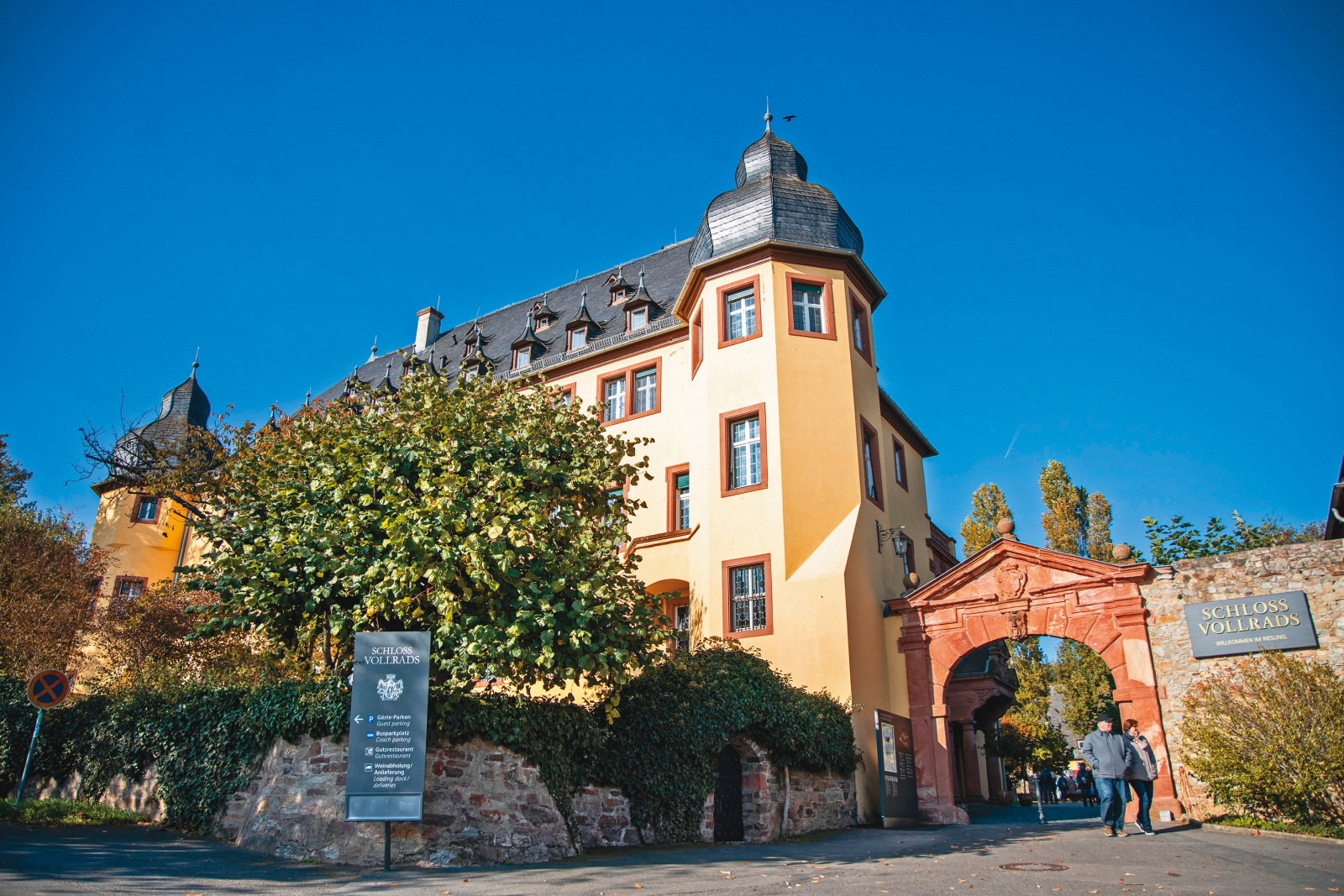 「Schloss Vollrads（沃洛斯城堡）」曾是Greiffenclau家族的住所。