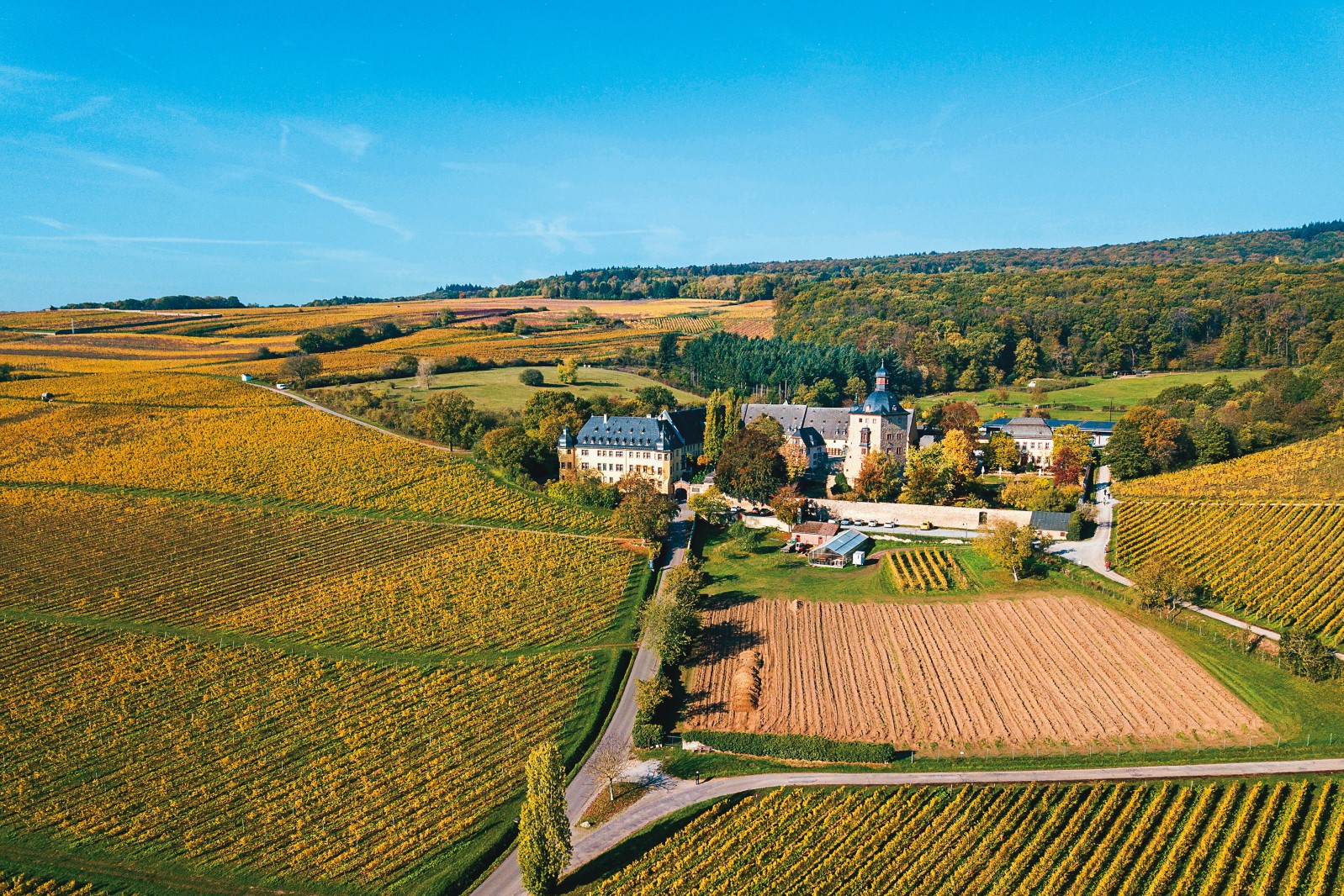 沃洛斯城堡一帶擁有得天獨厚的自然環境，能種出德國最好的Riesling葡萄。