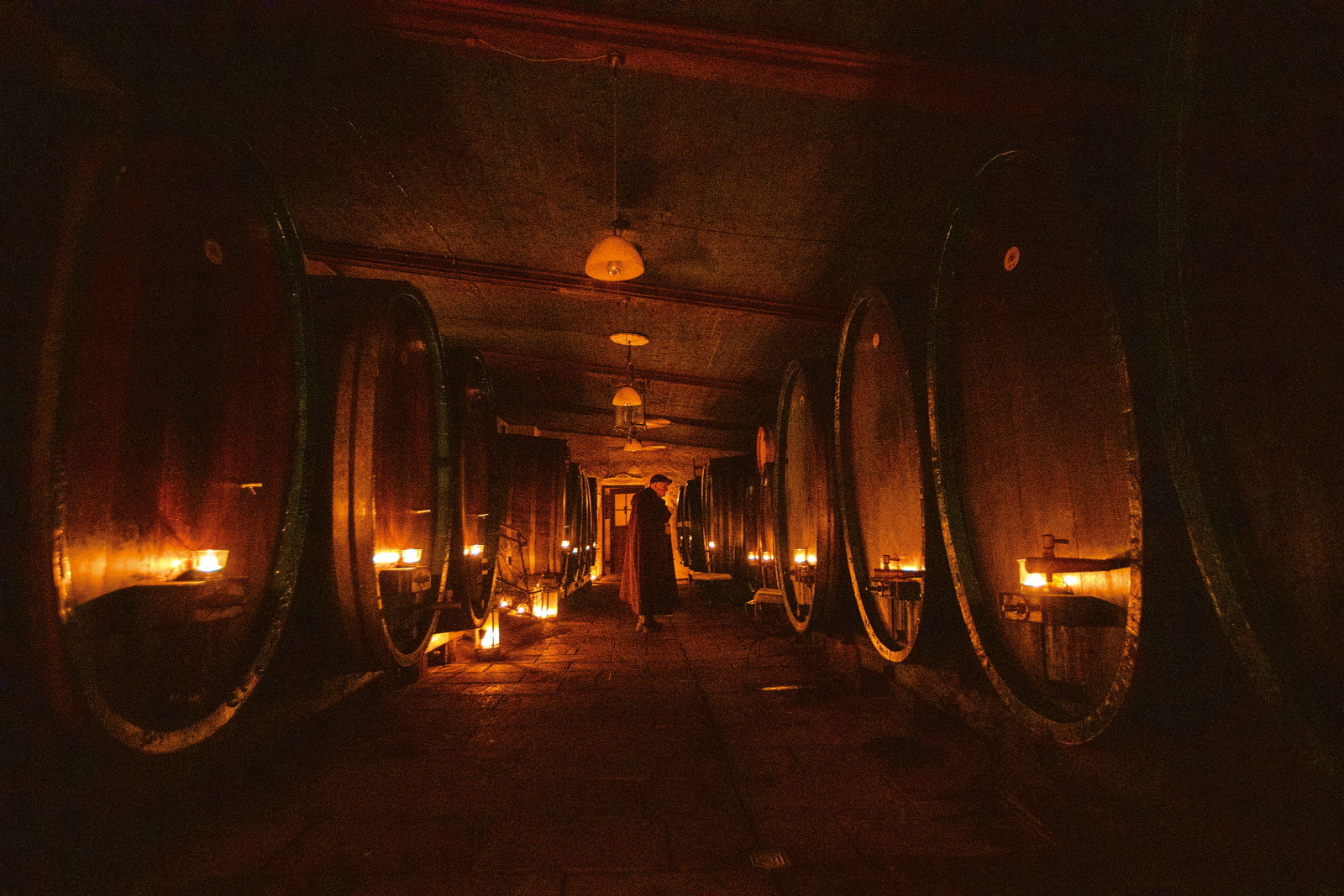 「杜肯赫芙莊園（Weinessiggut Doktorenhof）」裡的橡木桶全是成分天然的葡萄酒醋。