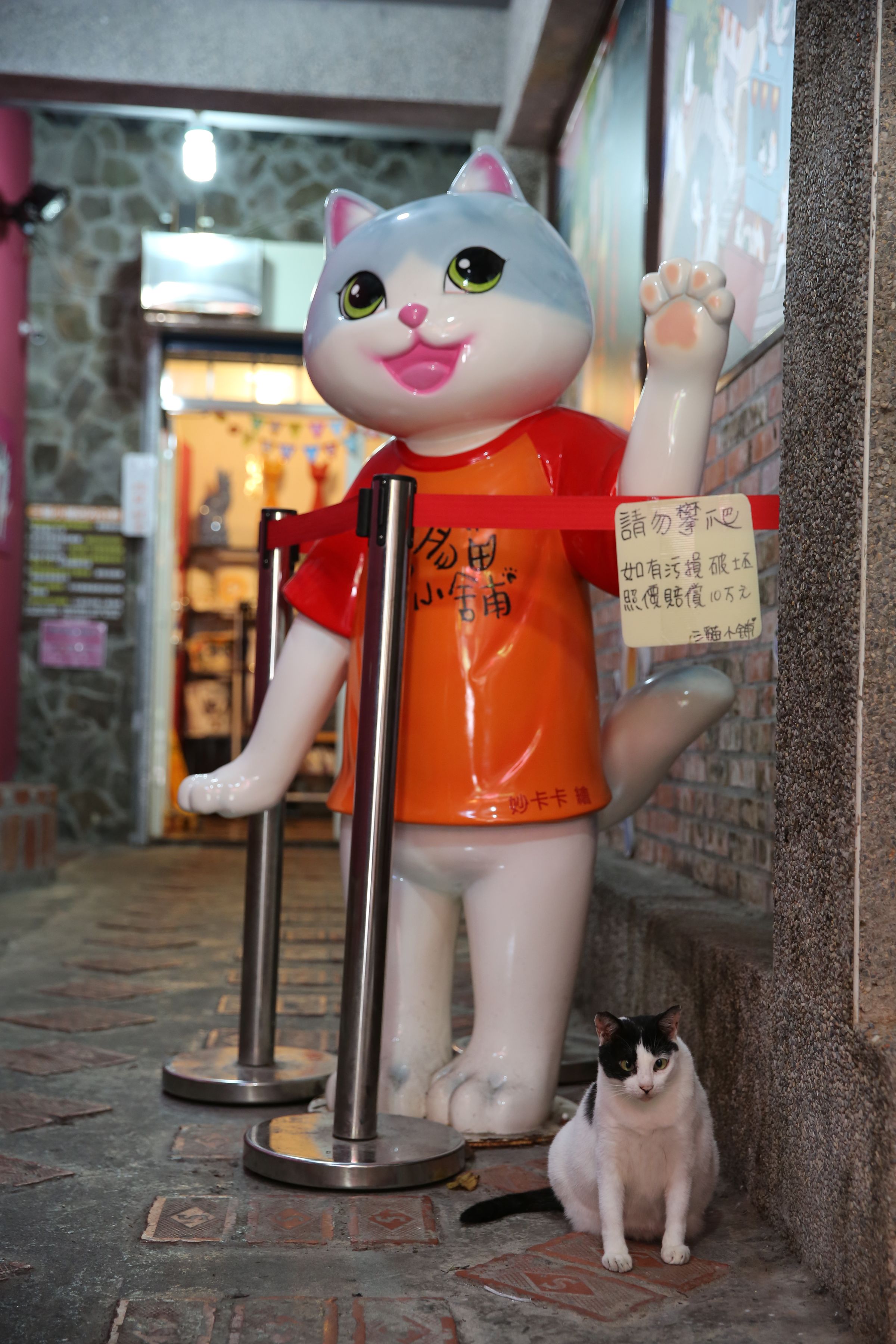 貓小舖前的店員？！鬥雞眼的樣子可愛誒！