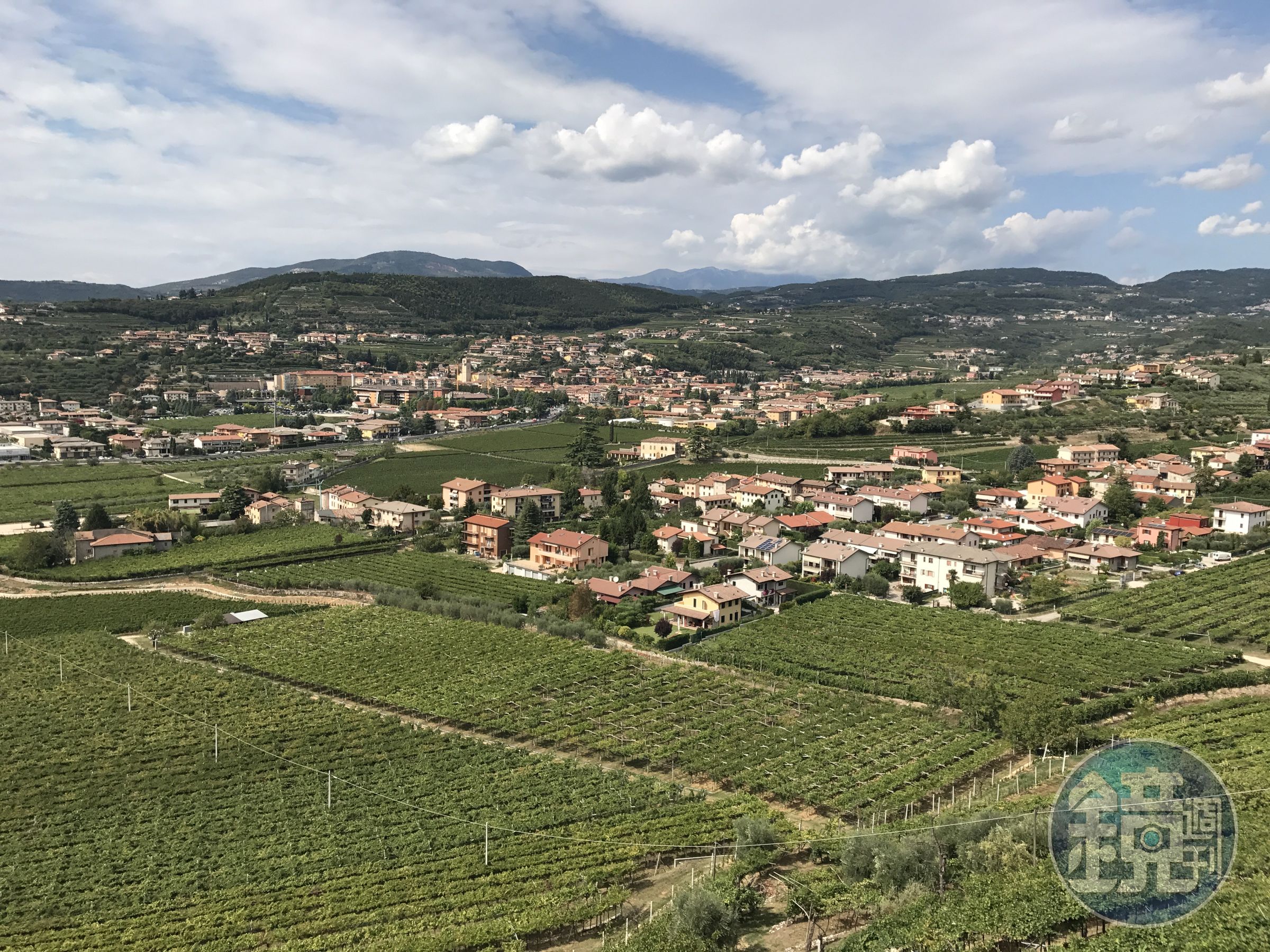 義大利成立DOCG法定產區嚴格保護Amarone，只有產自Valpolicella，品質在前40％的葡萄，才有資格被拿來做酒王。