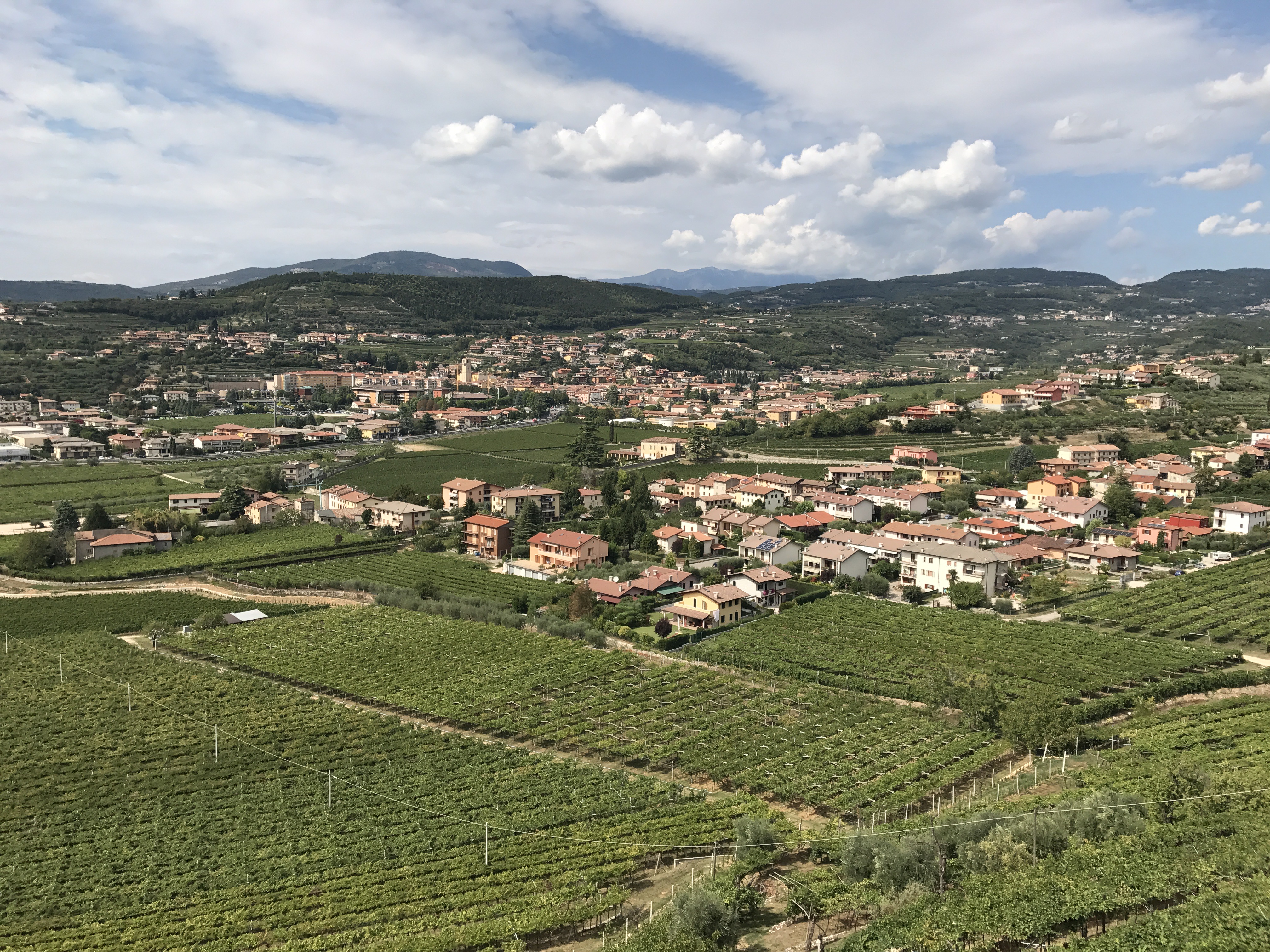 義大利成立DOCG法定產區嚴格保護Amarone，只有產自Valpolicella，品質在前40％的葡萄，才有資格被拿來做酒王。