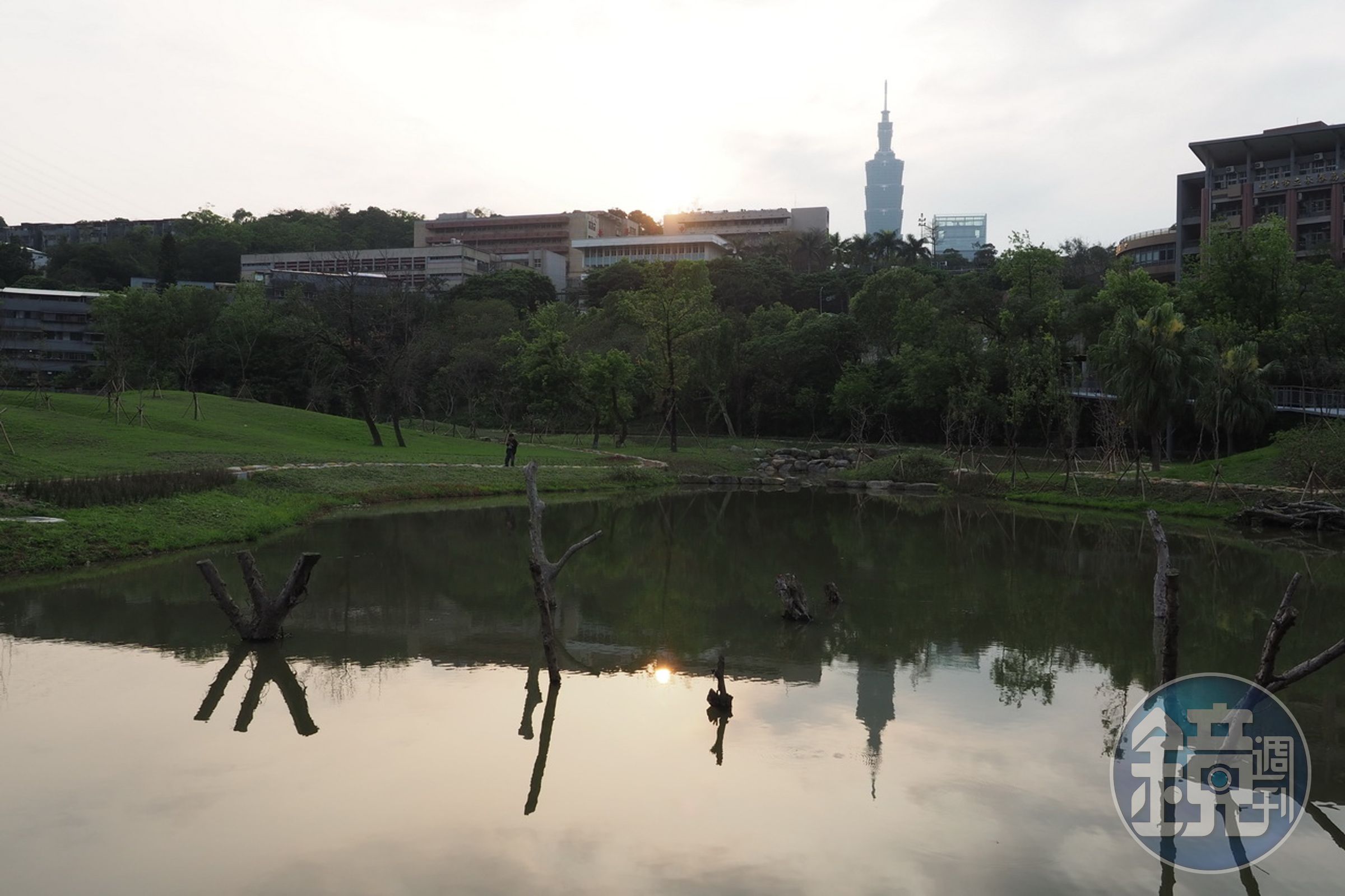 公園內的水池，放置枯木，型塑自然樣貌。