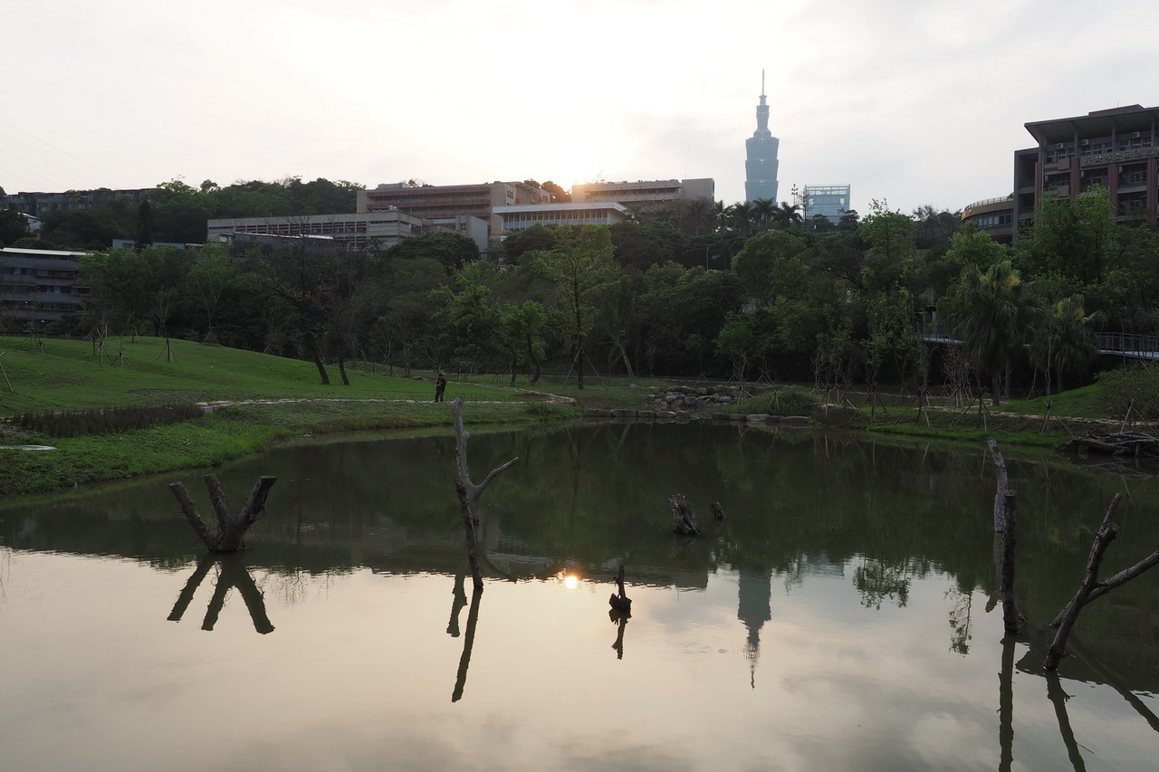 公園內的水池，放置枯木，型塑自然樣貌。