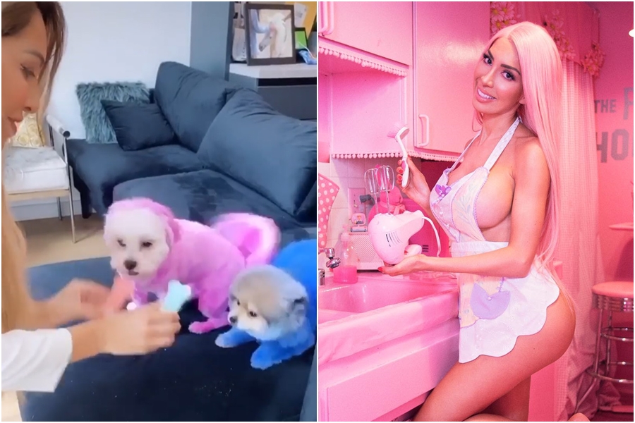 美國實境秀女星法拉亞伯罕養的兩隻寵物狗博美「Boo」和馬爾濟斯「Cupcake」被染成亮藍色和桃粉色，引起網友爭議。（翻攝自farrahabraham IG）