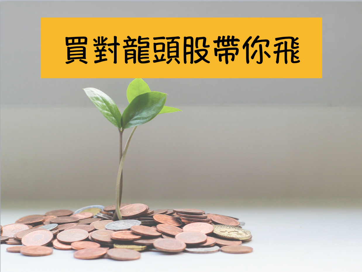 E03｜長抱優質龍頭股 疫情影響也不怕  