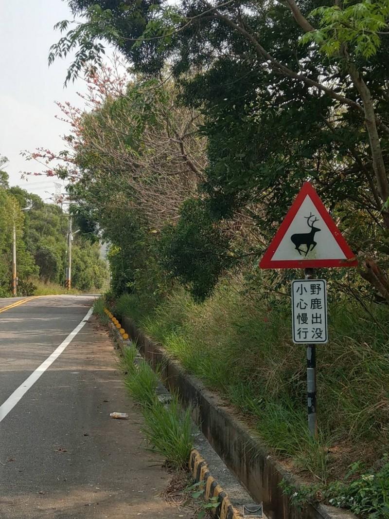 國道7隊提醒用路人，行經該「野鹿出沒」路段，得放慢速度，提高警覺。（國道7隊提供）