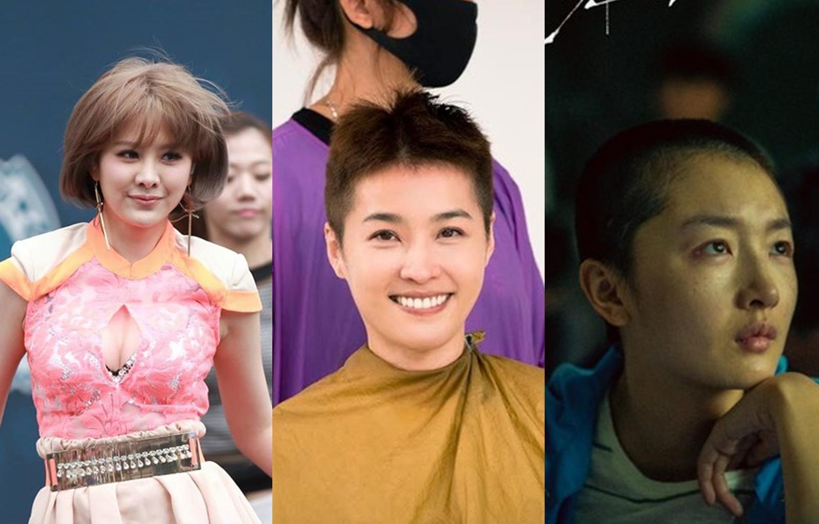 女明星為了詮釋角色,甚至不惜剃頭演出。(翻攝網路)