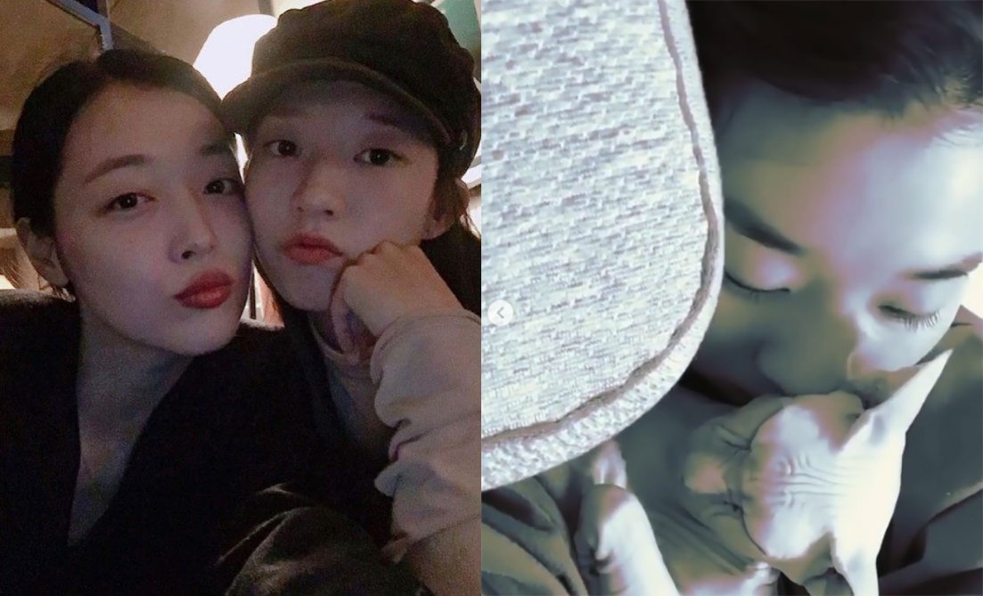 女星金宣雅在IG表示好友雪莉留下來的愛貓布林，現在已經由她飼養。（翻攝金宣雅IG）