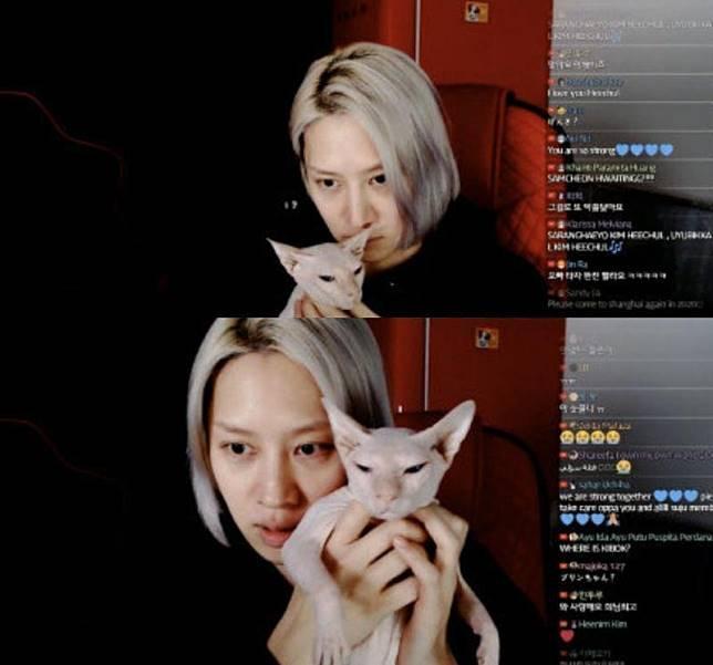 希澈曾幫忙照顧布林,將他照顧成一隻健康的貓咪。(翻攝希澈直播)