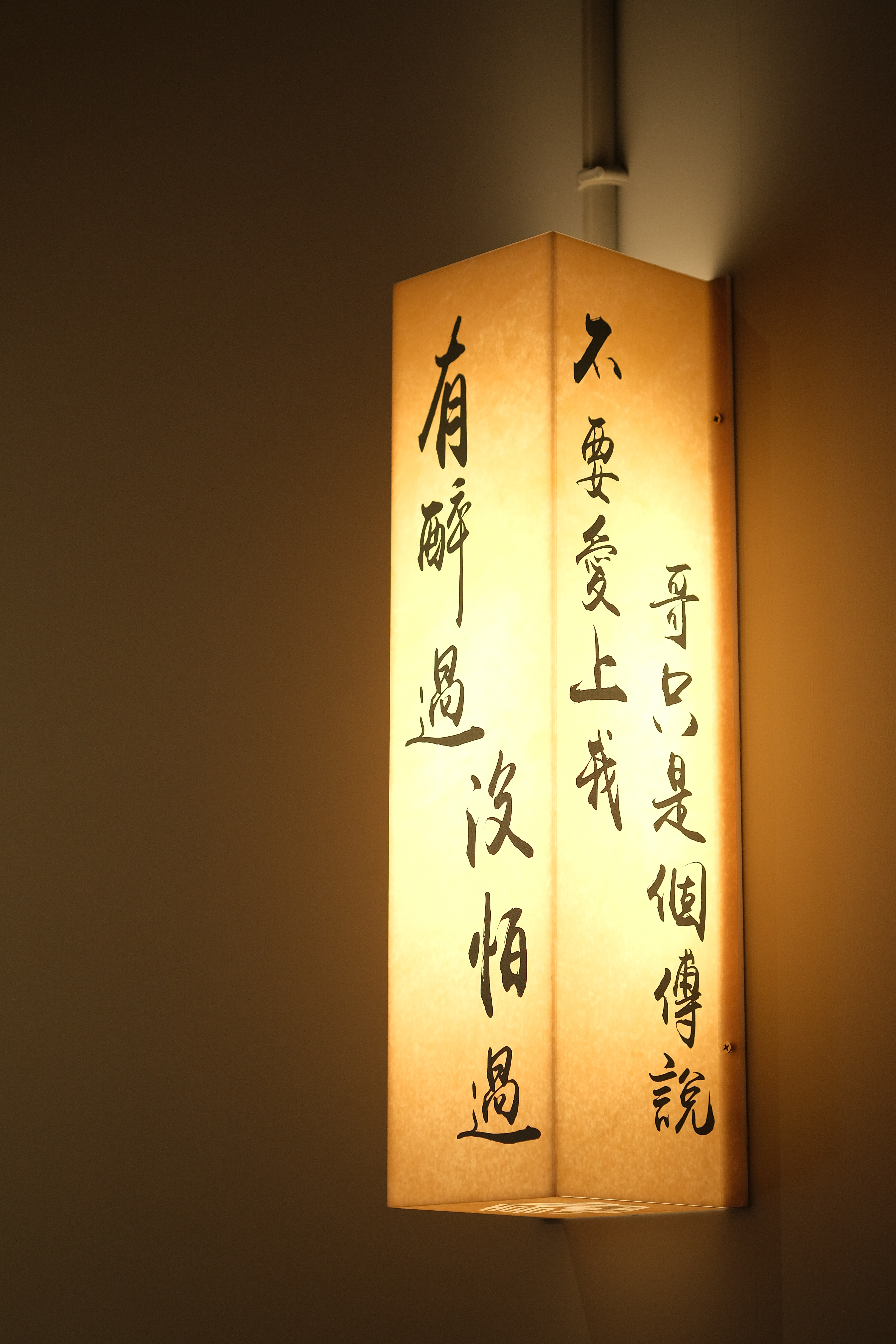 燈飾印上「有醉過,沒怕過。」「不要愛上我,哥只是個傳說。」金句。