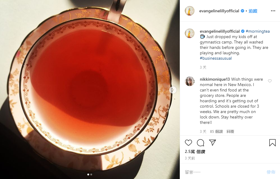 一杯茶的照片不料造成軒然大波,粉絲問她茶葉品種,結果也被別的網友酸。(翻攝自伊凡潔琳莉莉IG)