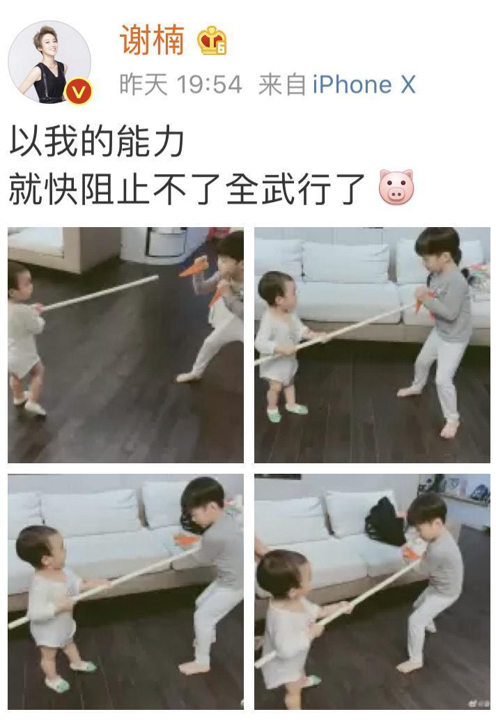 謝楠貼出2子打鬥對峙模樣相當可愛。(翻攝自謝楠微博)