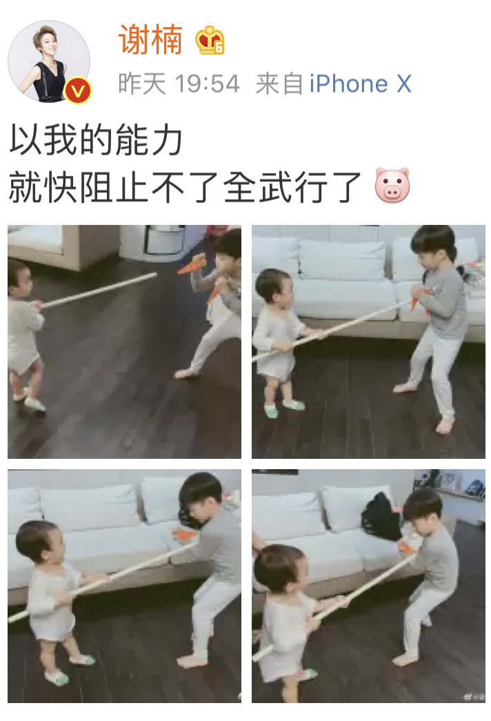 謝楠貼出2子打鬥對峙模樣相當可愛。(翻攝自謝楠微博)