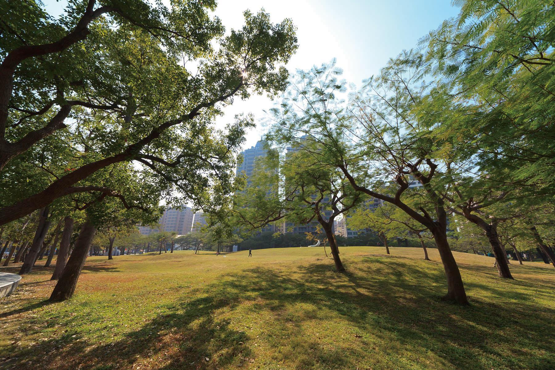 獨享凹子底公園10公頃綠肺,擁抱都市奢侈的綠意樹海。