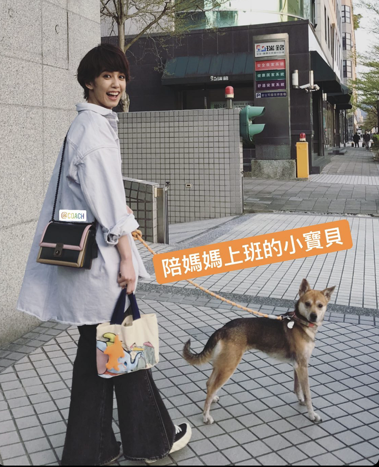 陳庭妮帶著愛犬外出時身上就是背著COACH Hutton手袋。NT$19,800(COACH提供)