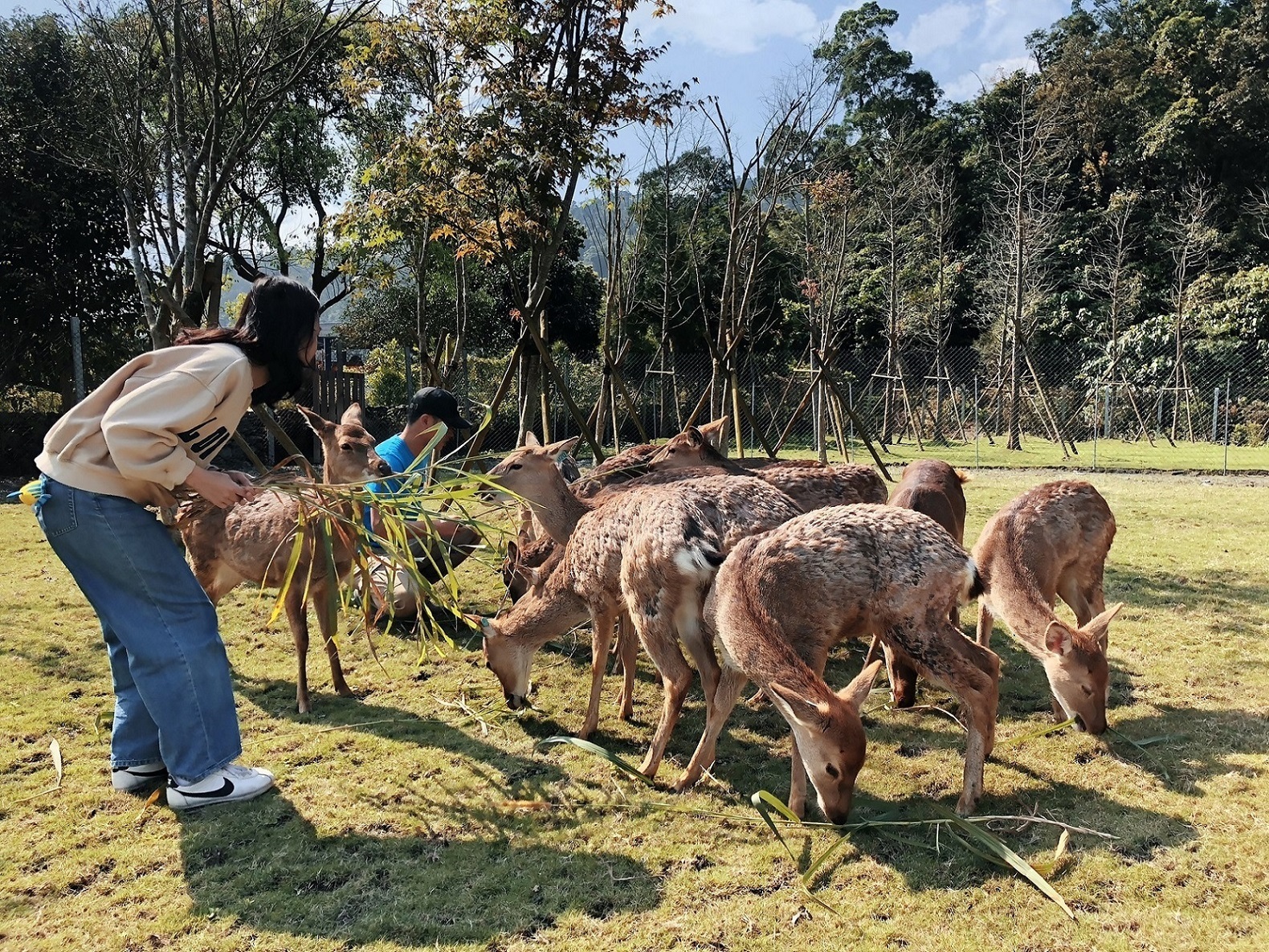 各飯店結合在地小旅行，置身戶外、玩得更安心。（圖片由各飯店提供）