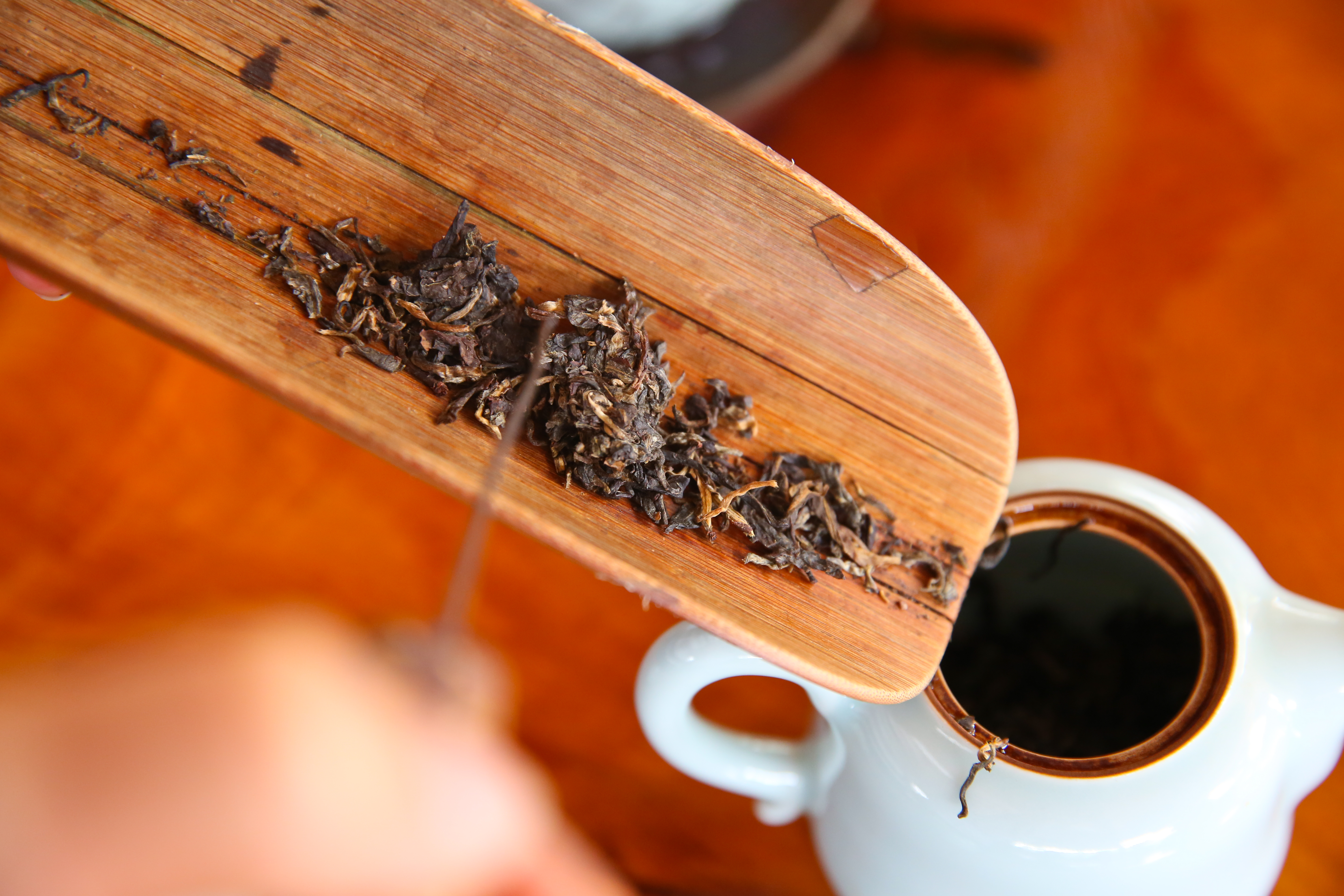 研究發現台灣本土茶葉中的物質，有機會抑制武漢肺炎病毒增生，示意圖。（本刊資料照）