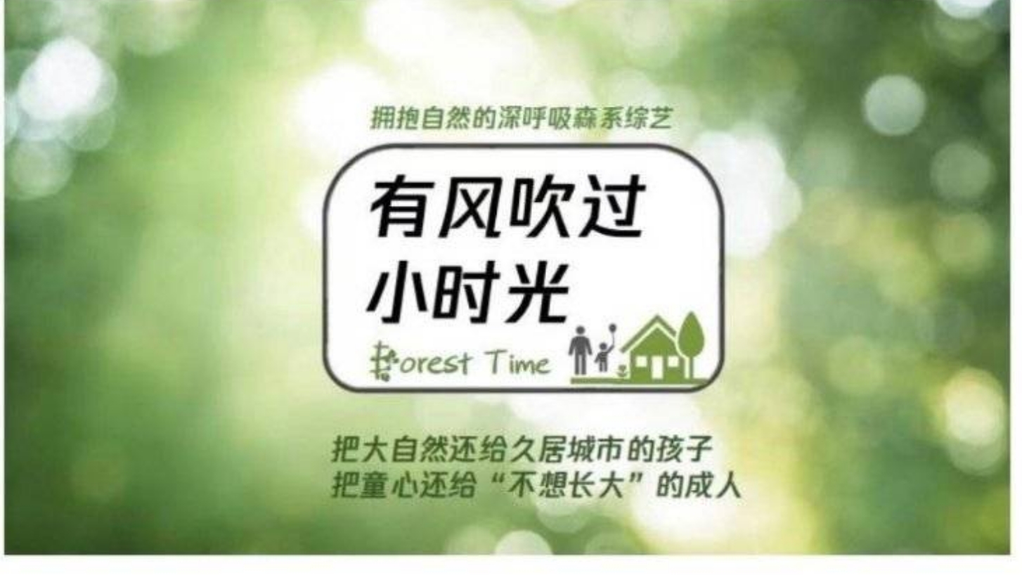 網路流傳《有風吹過小時光》的招商廣告，擬邀固定嘉賓包括吳奇隆、王俊凱、馬思純等人。（微博圖片）