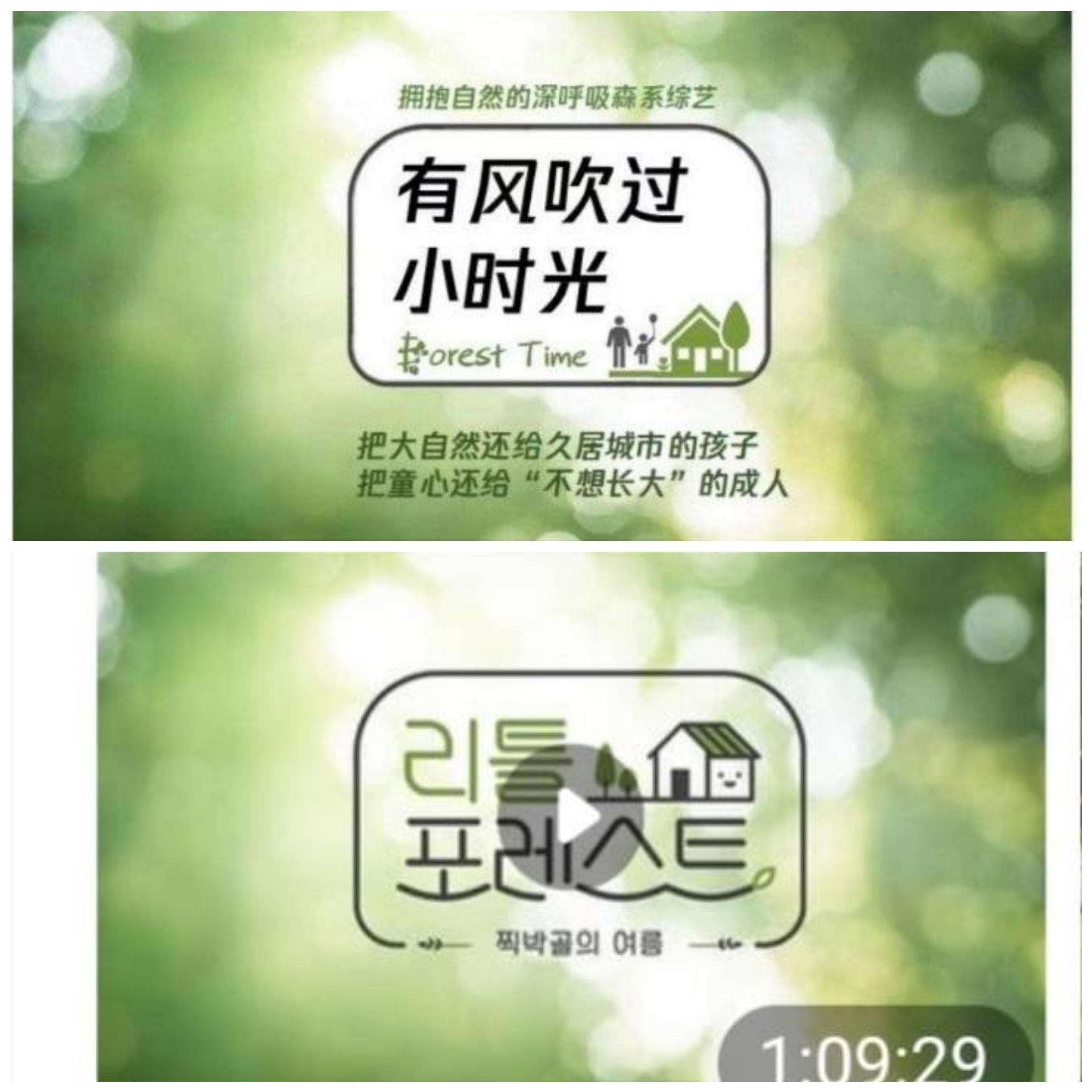 山寨版連主視覺影像都直接盜用韓國原版。(網路圖片)