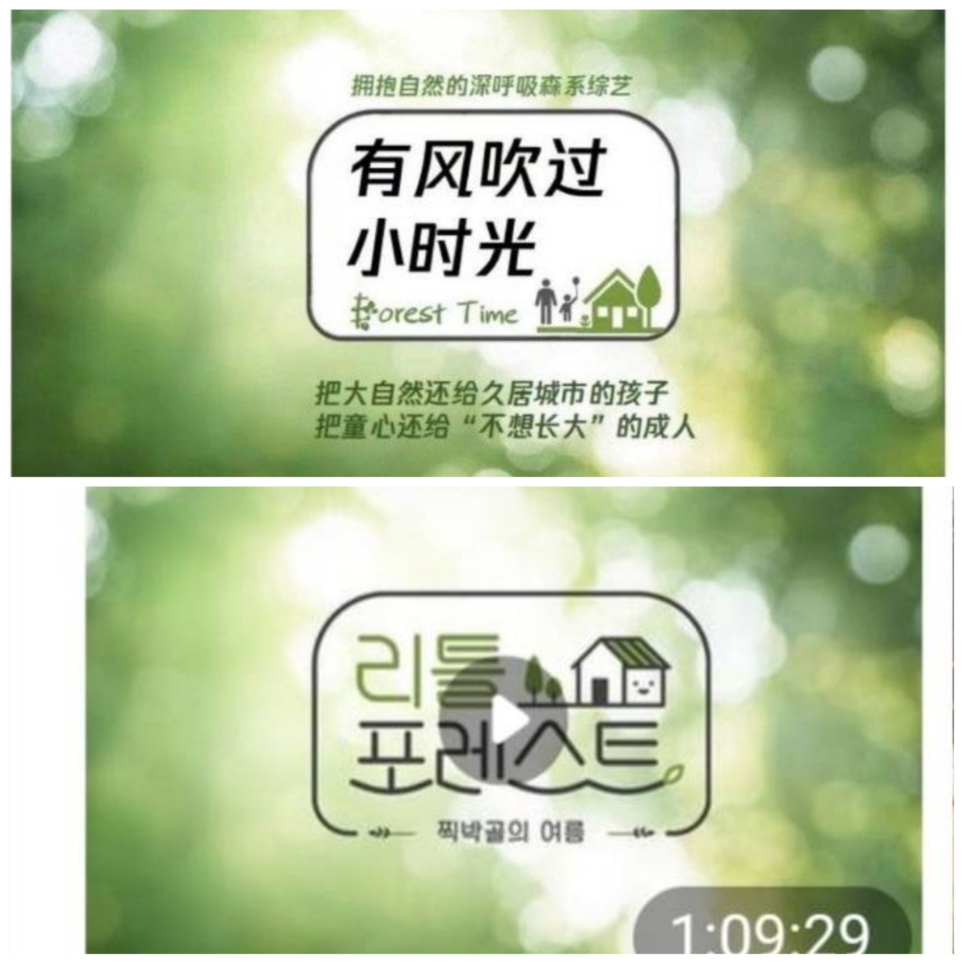 山寨版連主視覺影像都直接盜用韓國原版。（網路圖片）