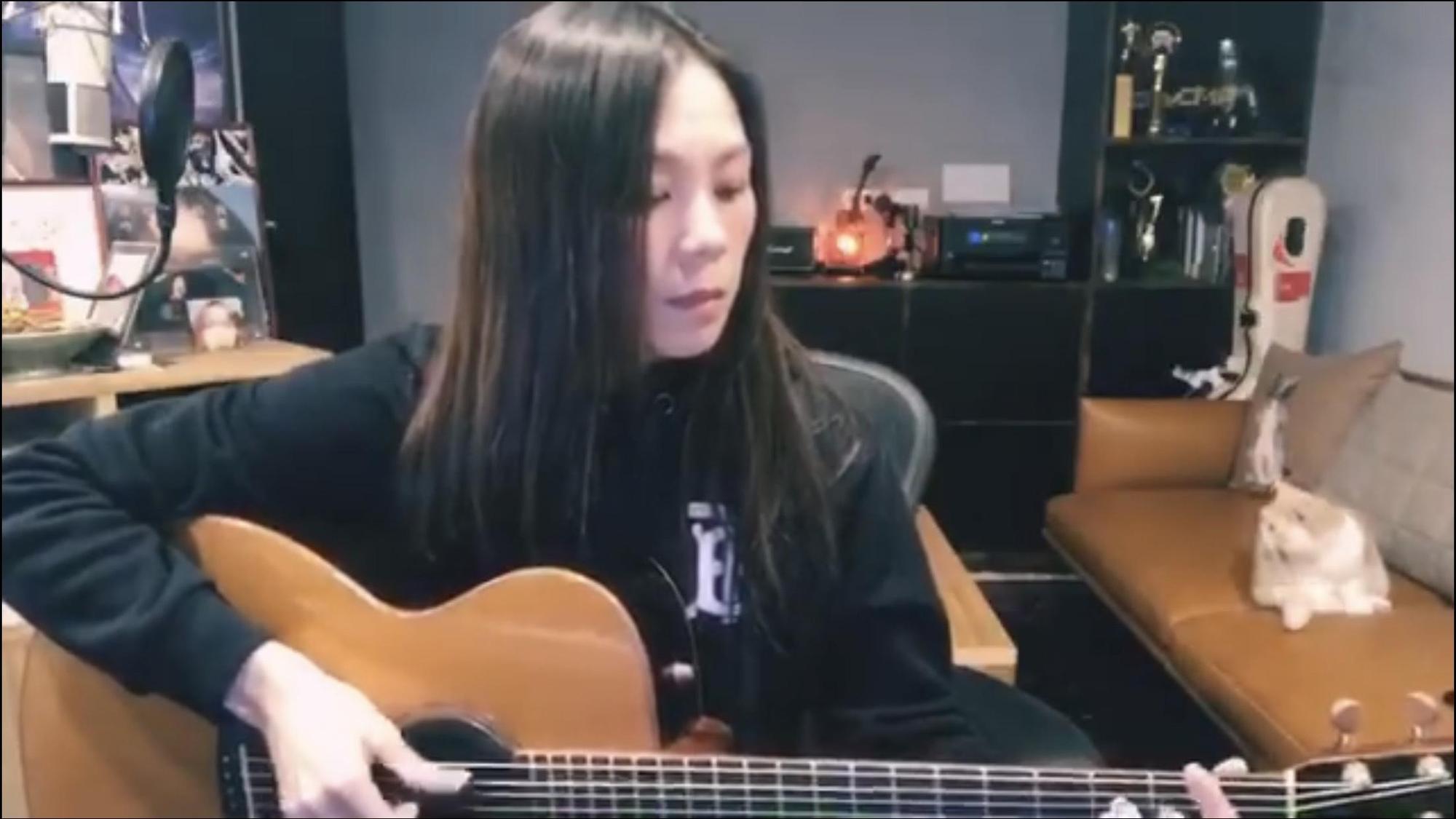 蔡健雅以直播方式與歌迷互動，後方的愛貓相當吸睛。（翻攝自蔡健雅臉書）