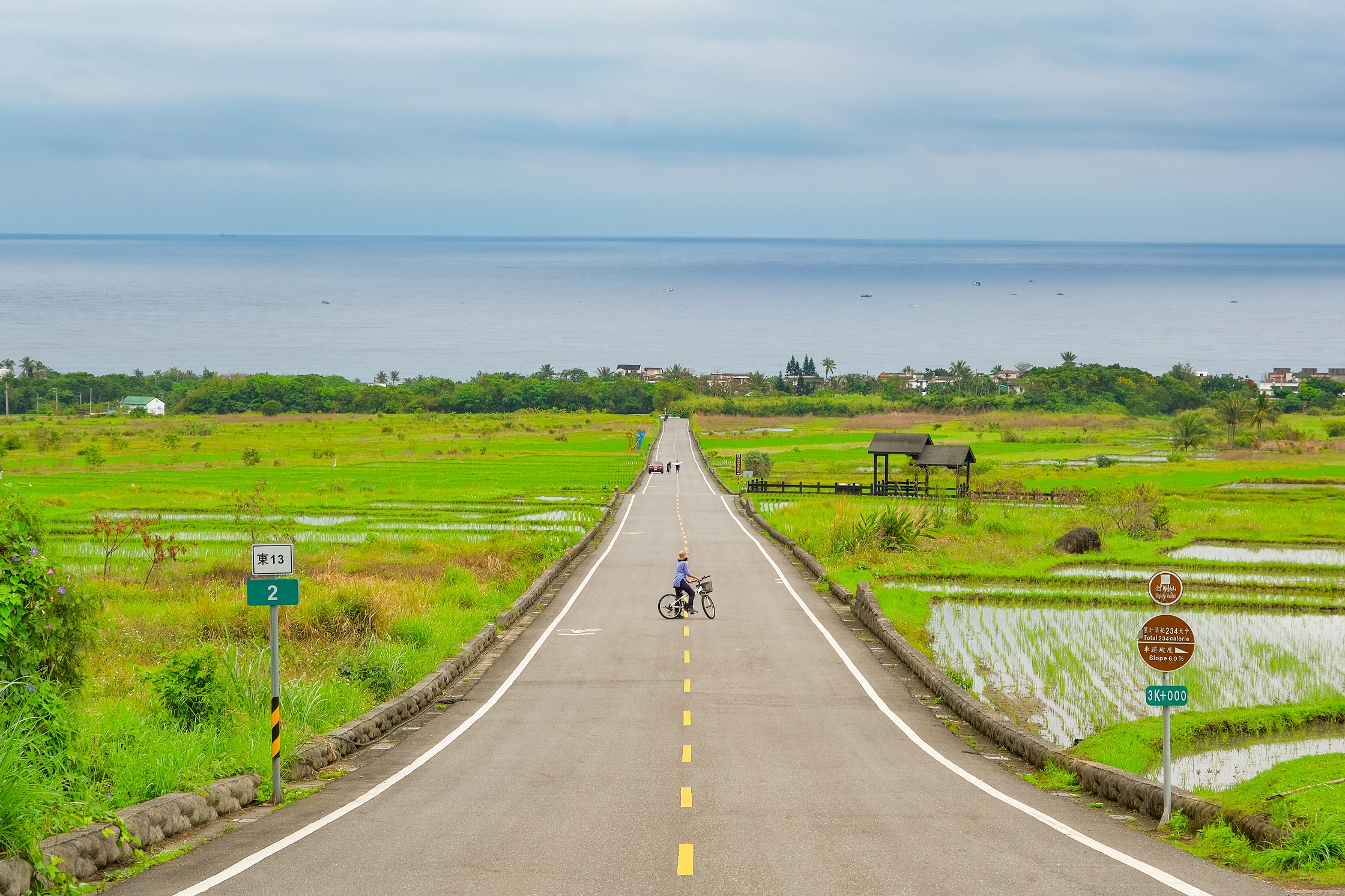 筆直的金剛大道，宛如直通美麗太平洋。